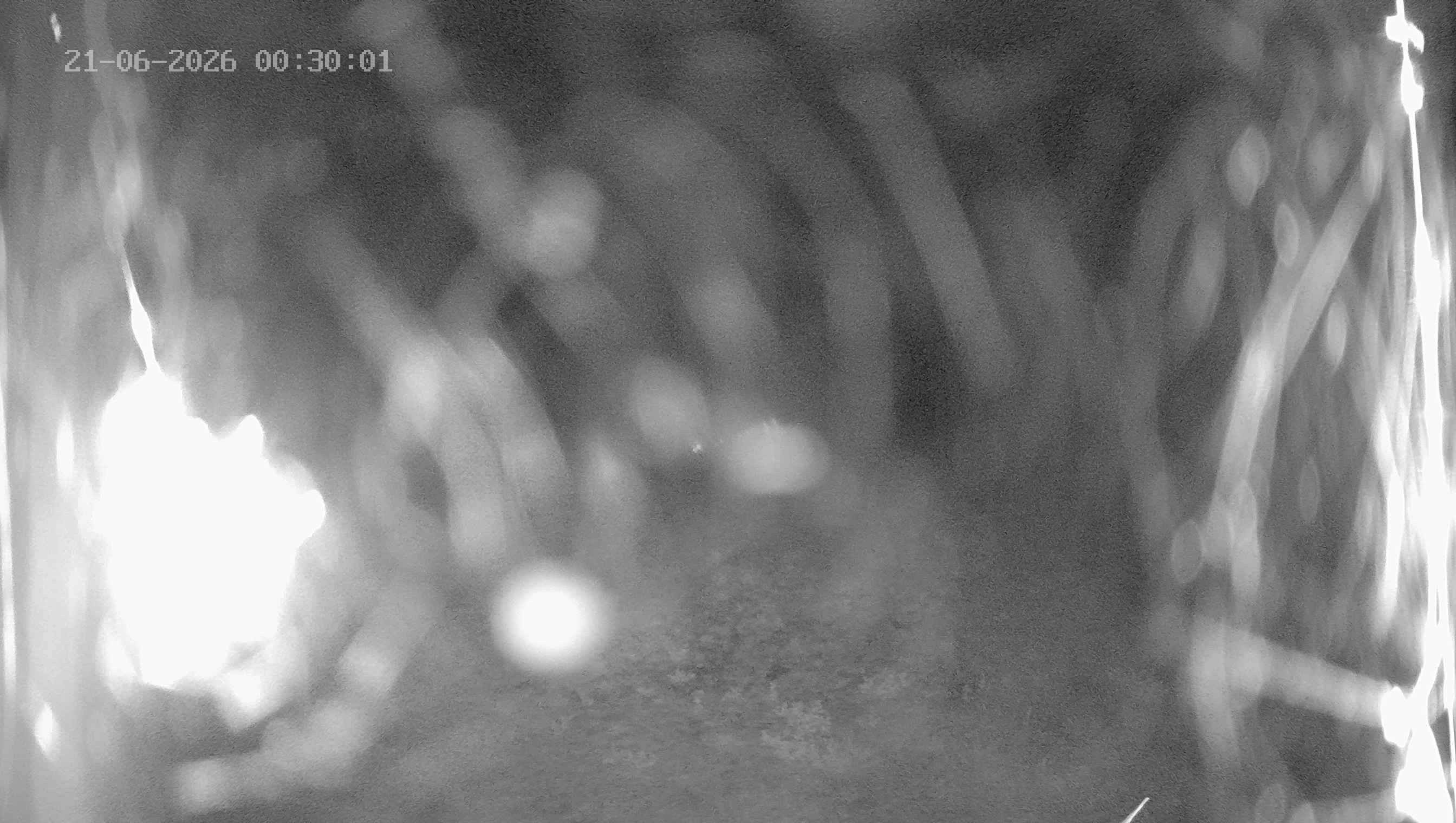 Archiv Foto Webcam Ladurns: Blick von der Bergstation Wastenegg
