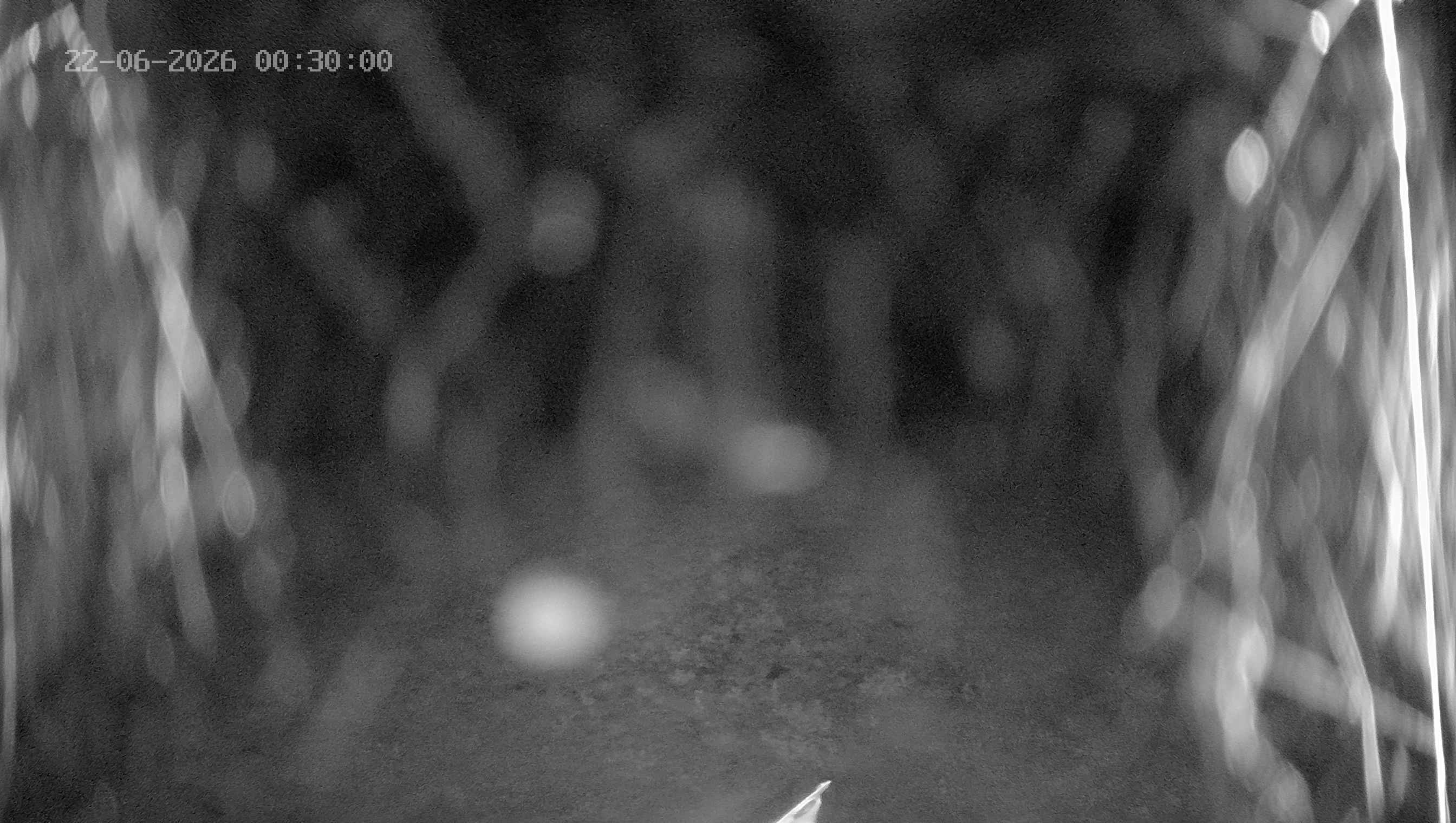 Archiv Foto Webcam Ladurns: Blick von der Bergstation Wastenegg