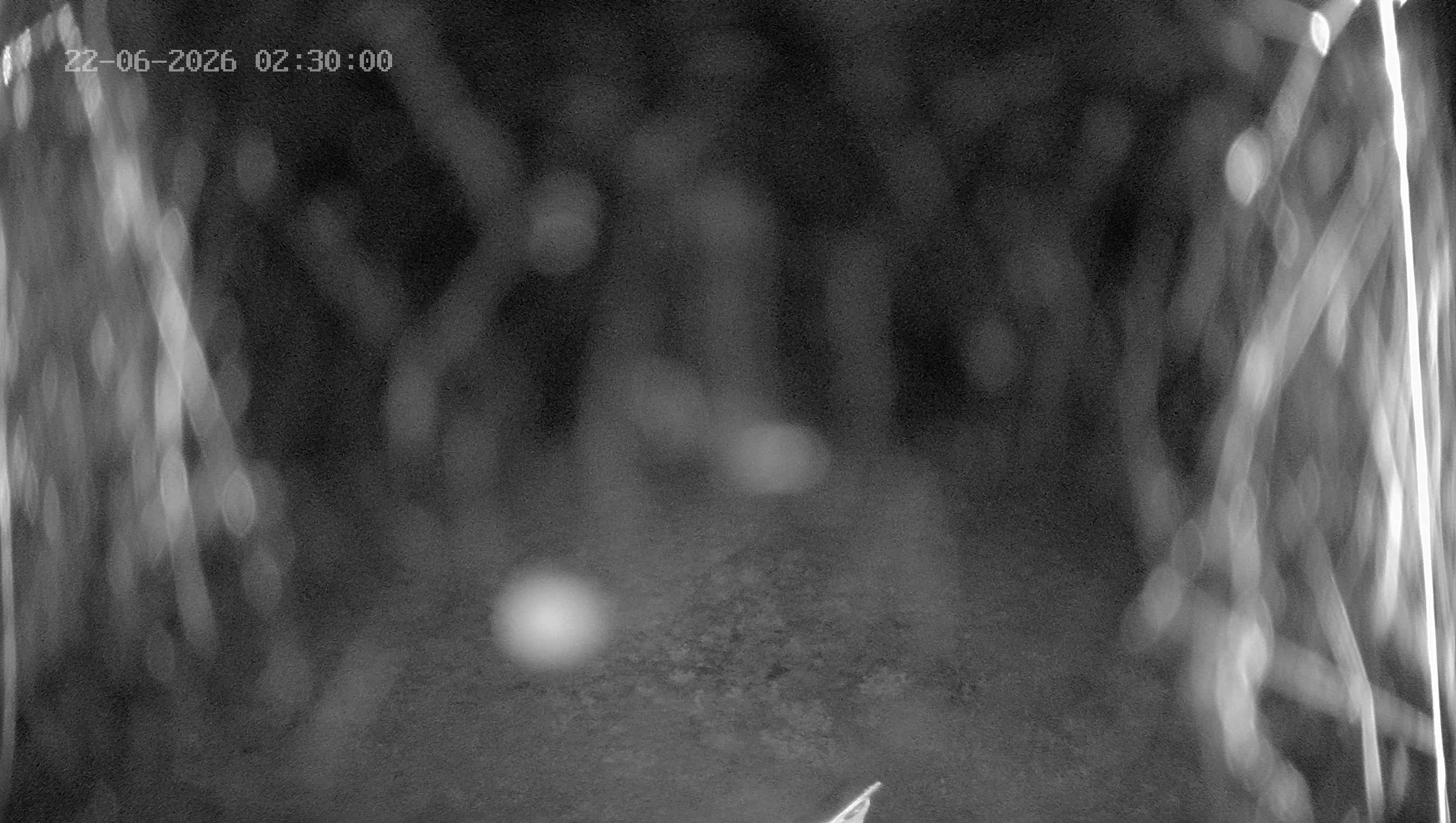 Archiv Foto Webcam Ladurns: Blick von der Bergstation Wastenegg