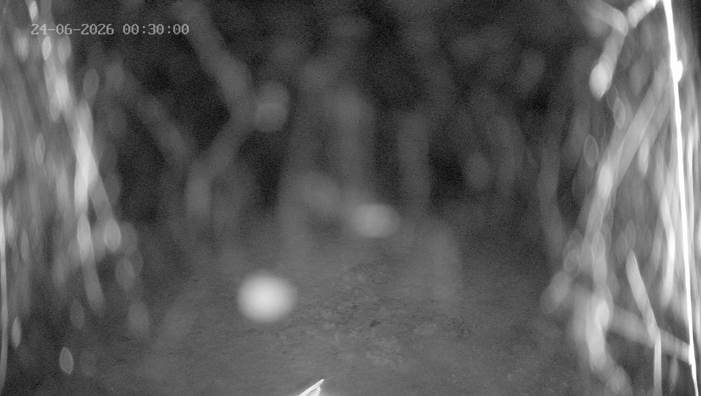 Archiv Foto Webcam Ladurns: Blick von der Bergstation Wastenegg