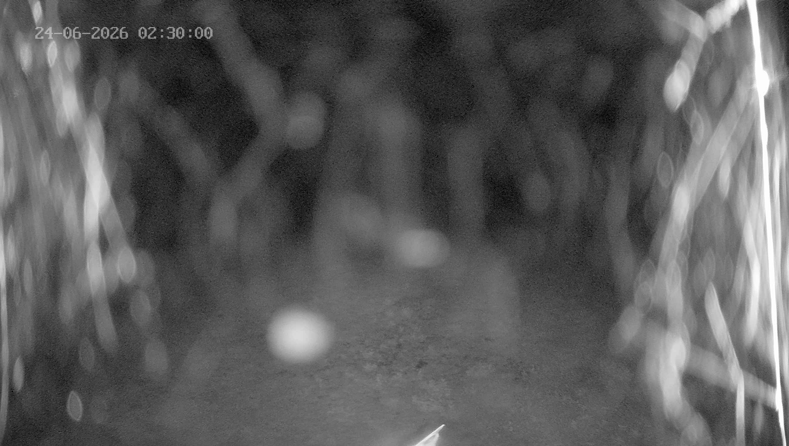 Archiv Foto Webcam Ladurns: Blick von der Bergstation Wastenegg
