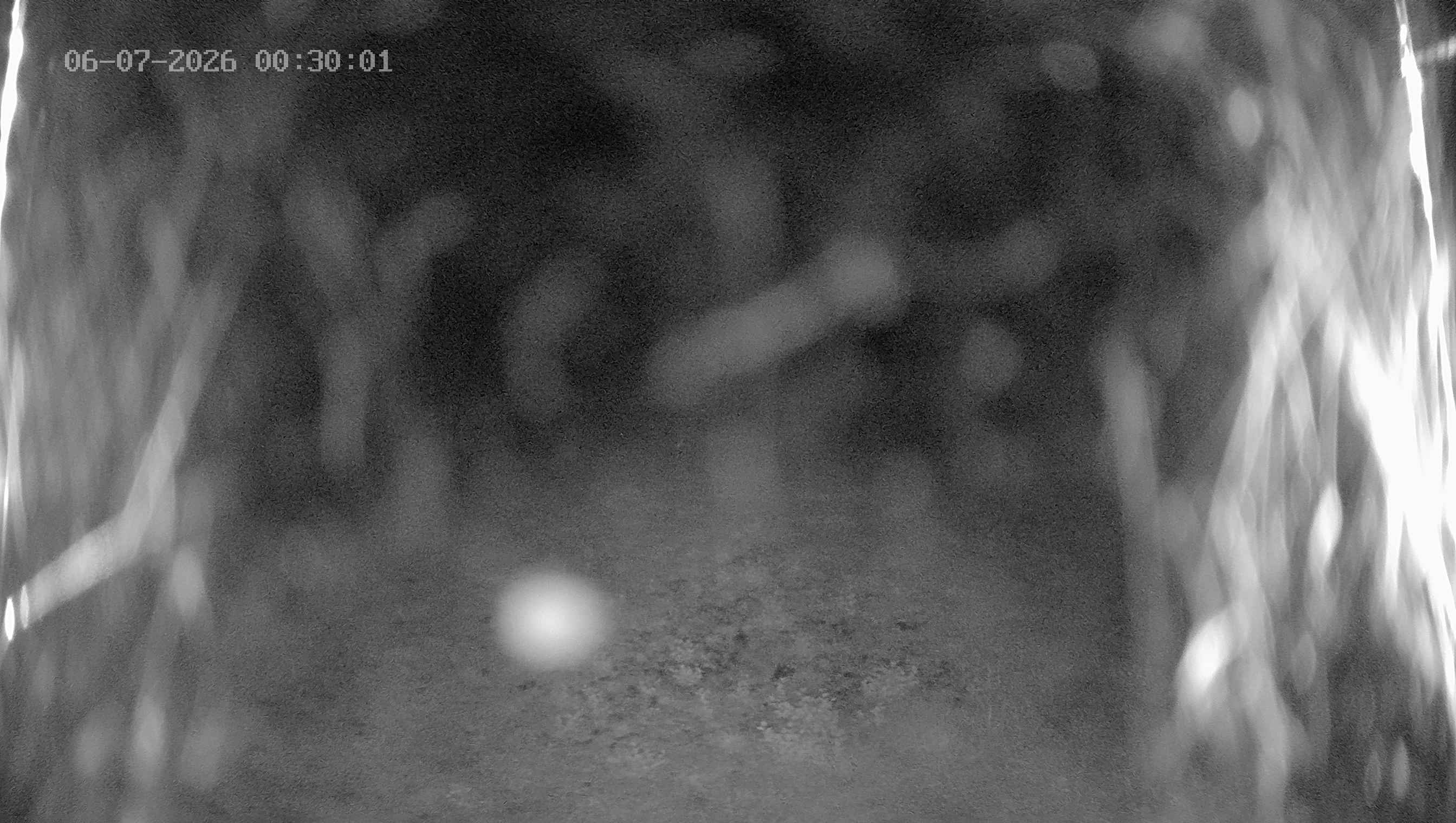 Archived image Webcam Ladurns - Wastenegg Top Station