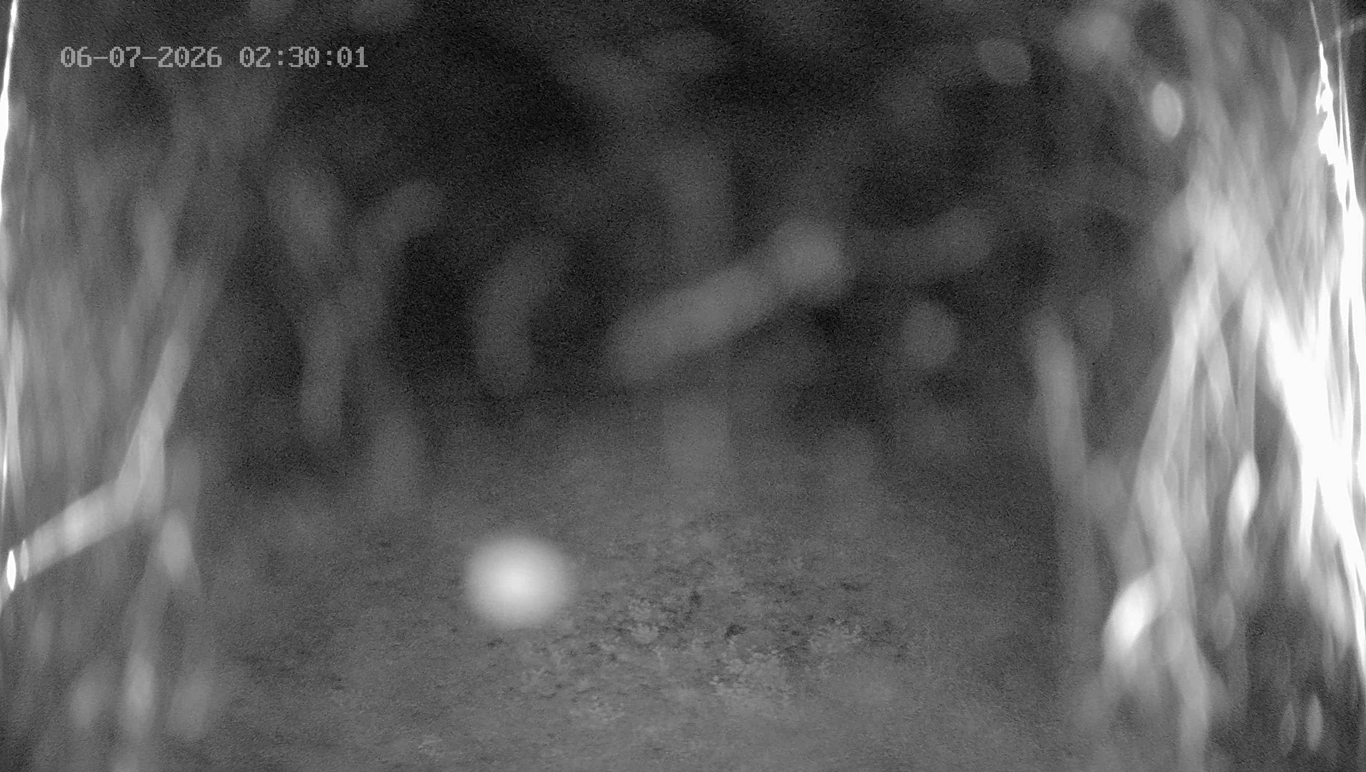 Archived image Webcam Ladurns - Wastenegg Top Station
