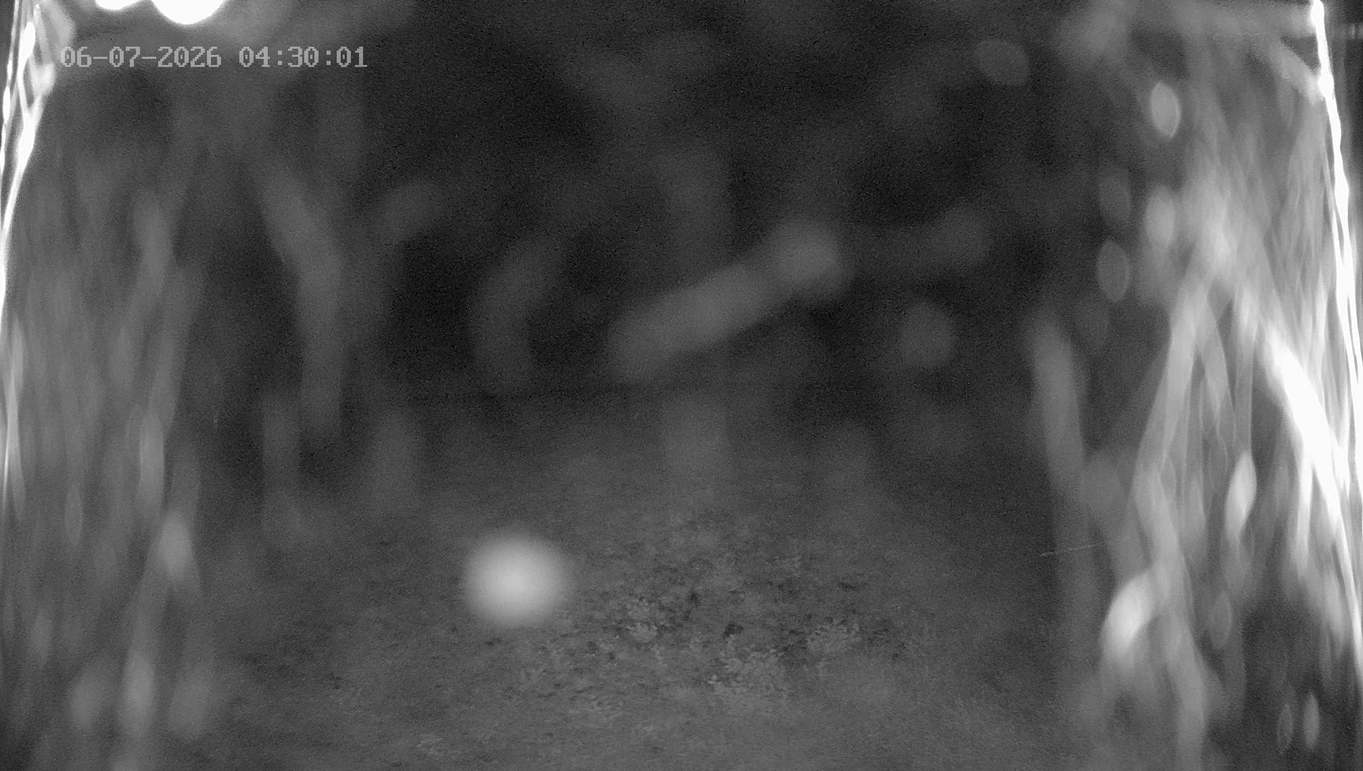 Archiv Foto Webcam Ladurns: Blick von der Bergstation Wastenegg