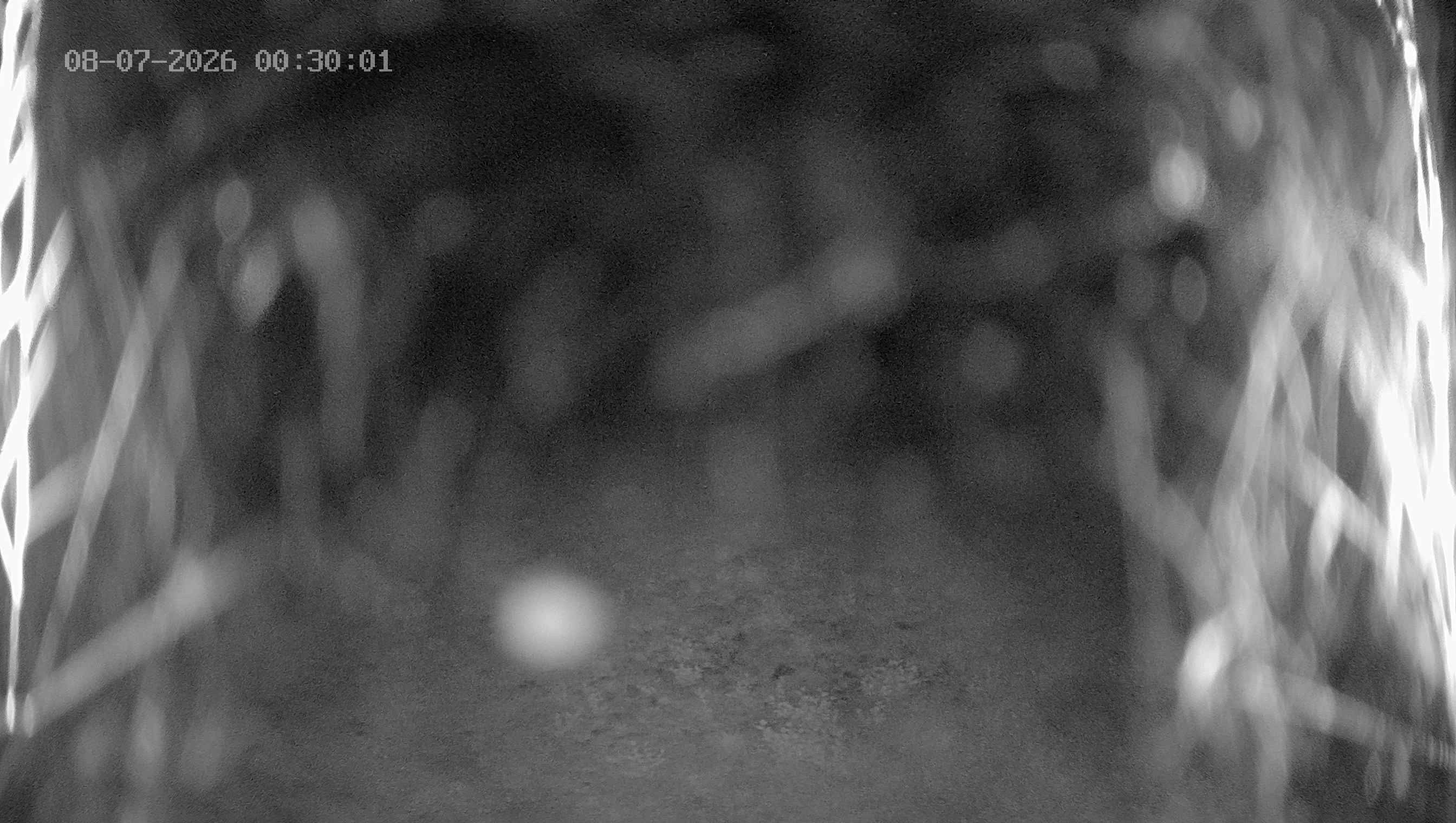 Archiv Foto Webcam Ladurns: Blick von der Bergstation Wastenegg