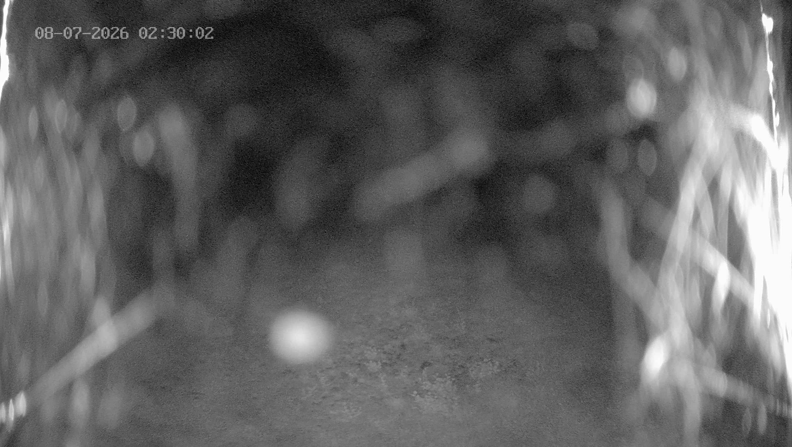 Archiv Foto Webcam Ladurns: Blick von der Bergstation Wastenegg