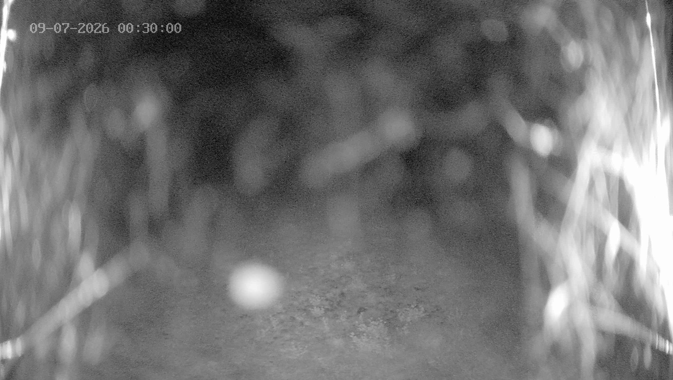 Archiv Foto Webcam Ladurns: Blick von der Bergstation Wastenegg