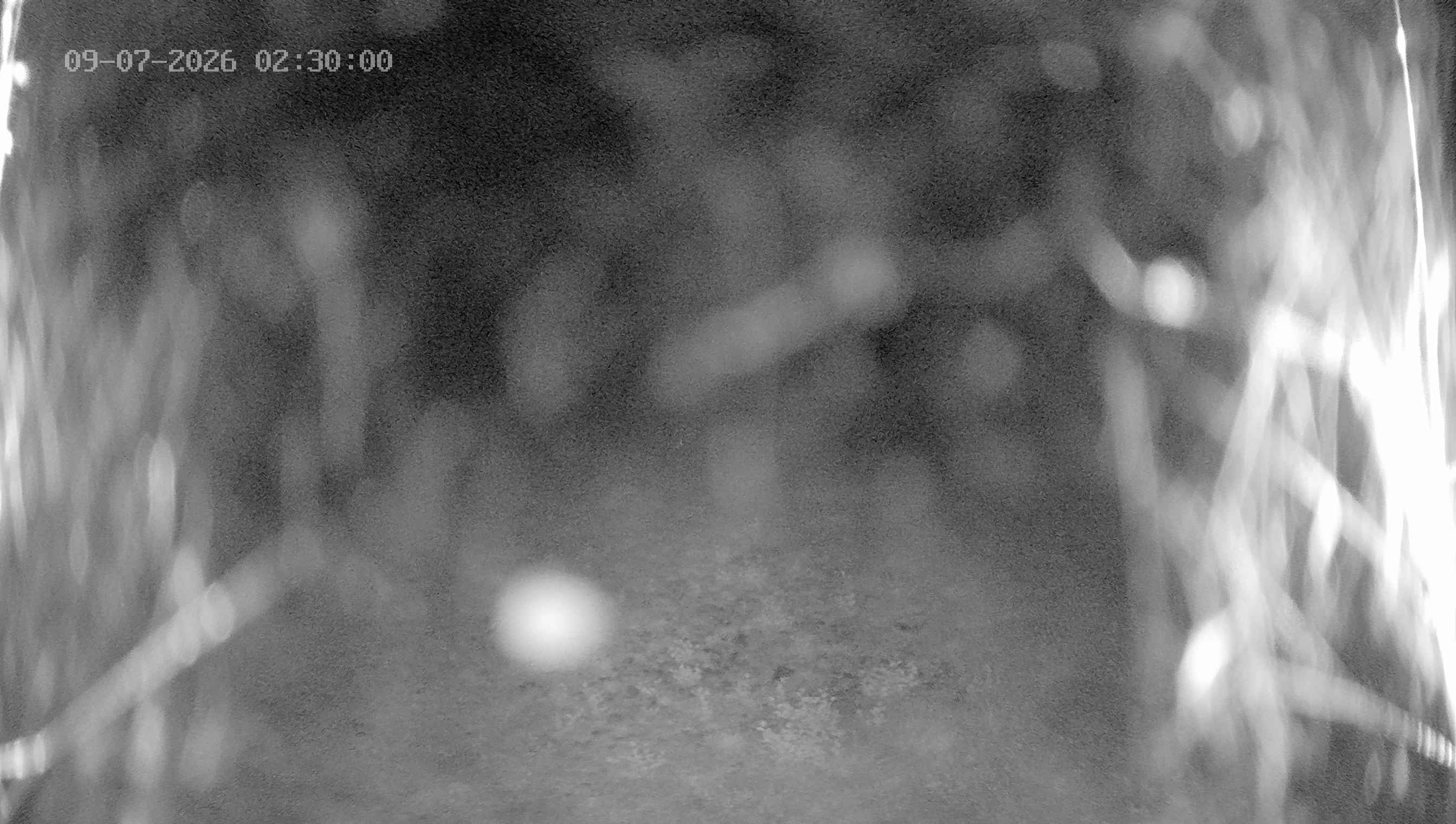 Archiv Foto Webcam Ladurns: Blick von der Bergstation Wastenegg