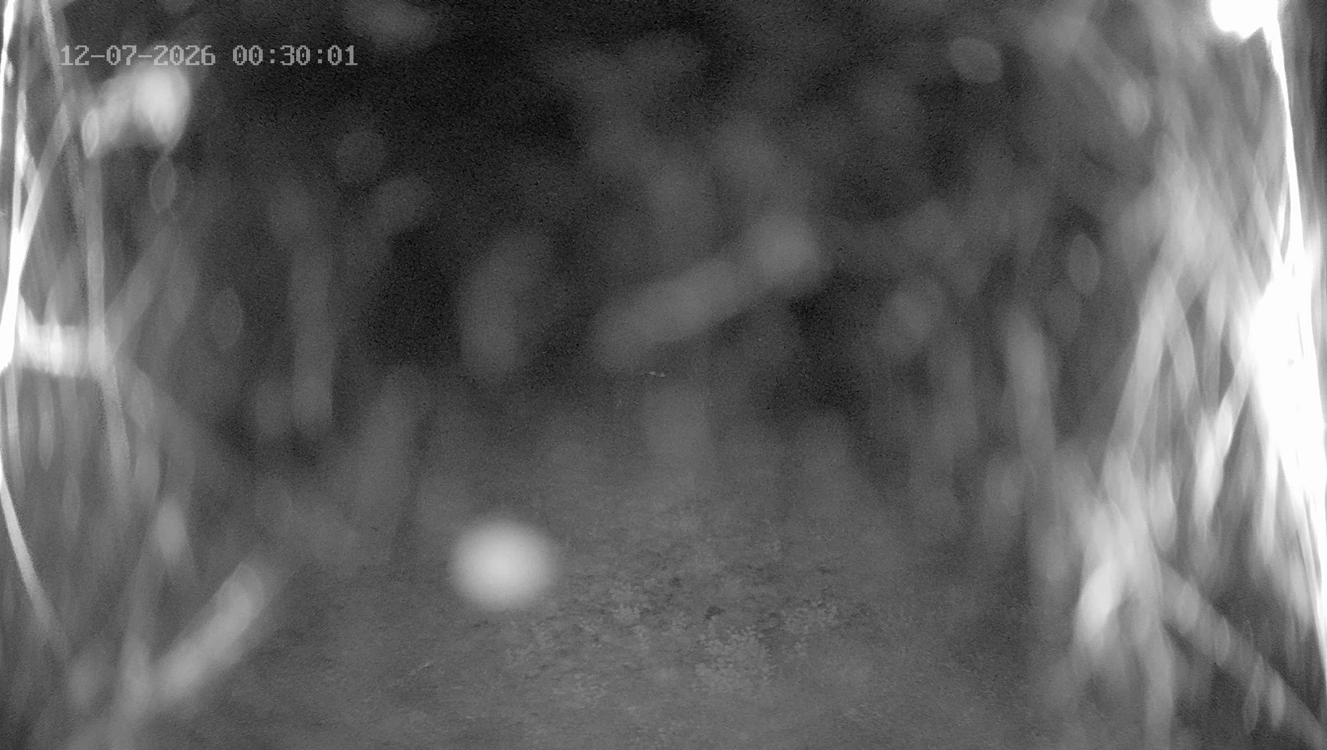 Archived image Webcam Ladurns - Wastenegg Top Station