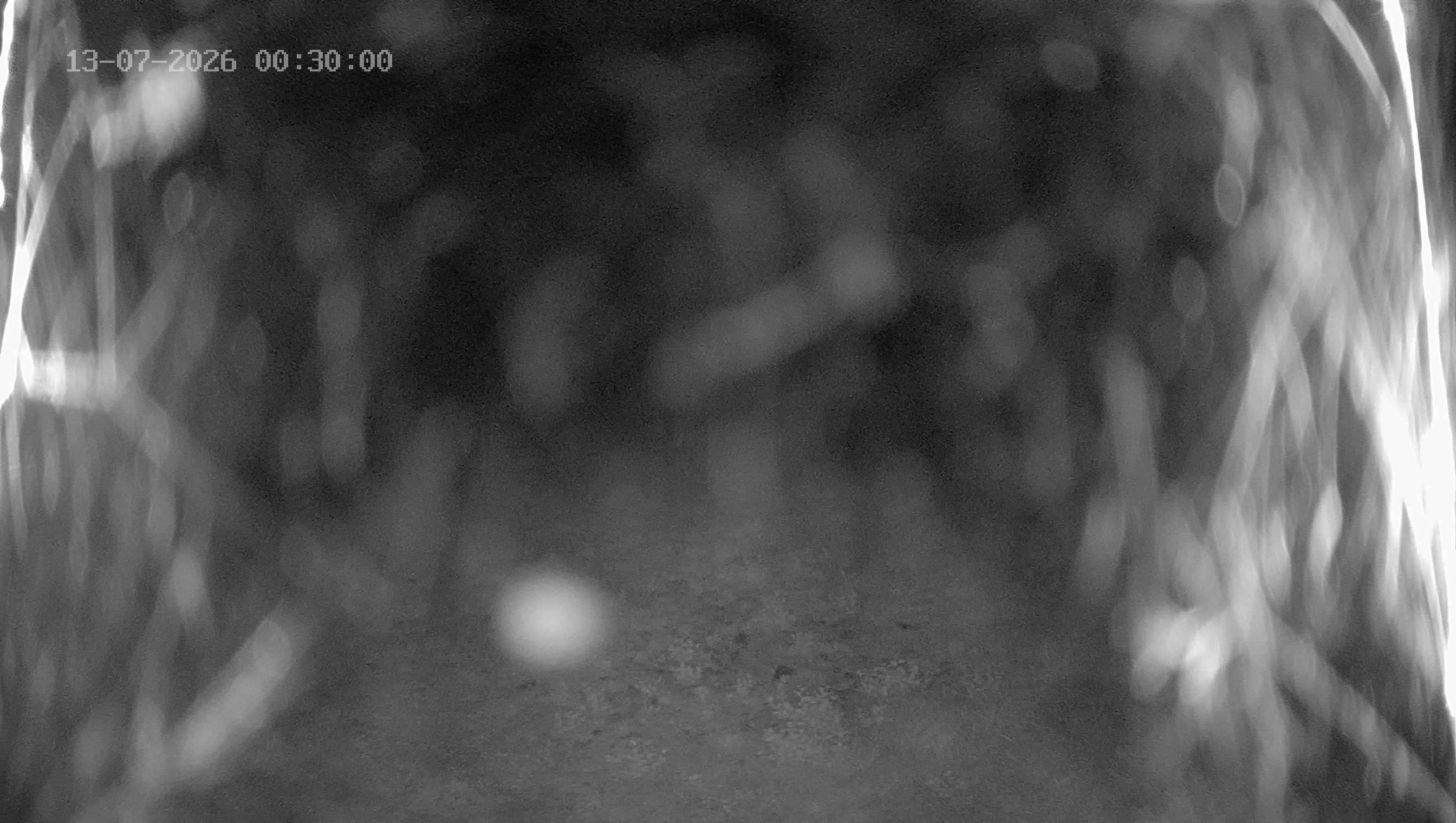 Archiv Foto Webcam Ladurns: Blick von der Bergstation Wastenegg