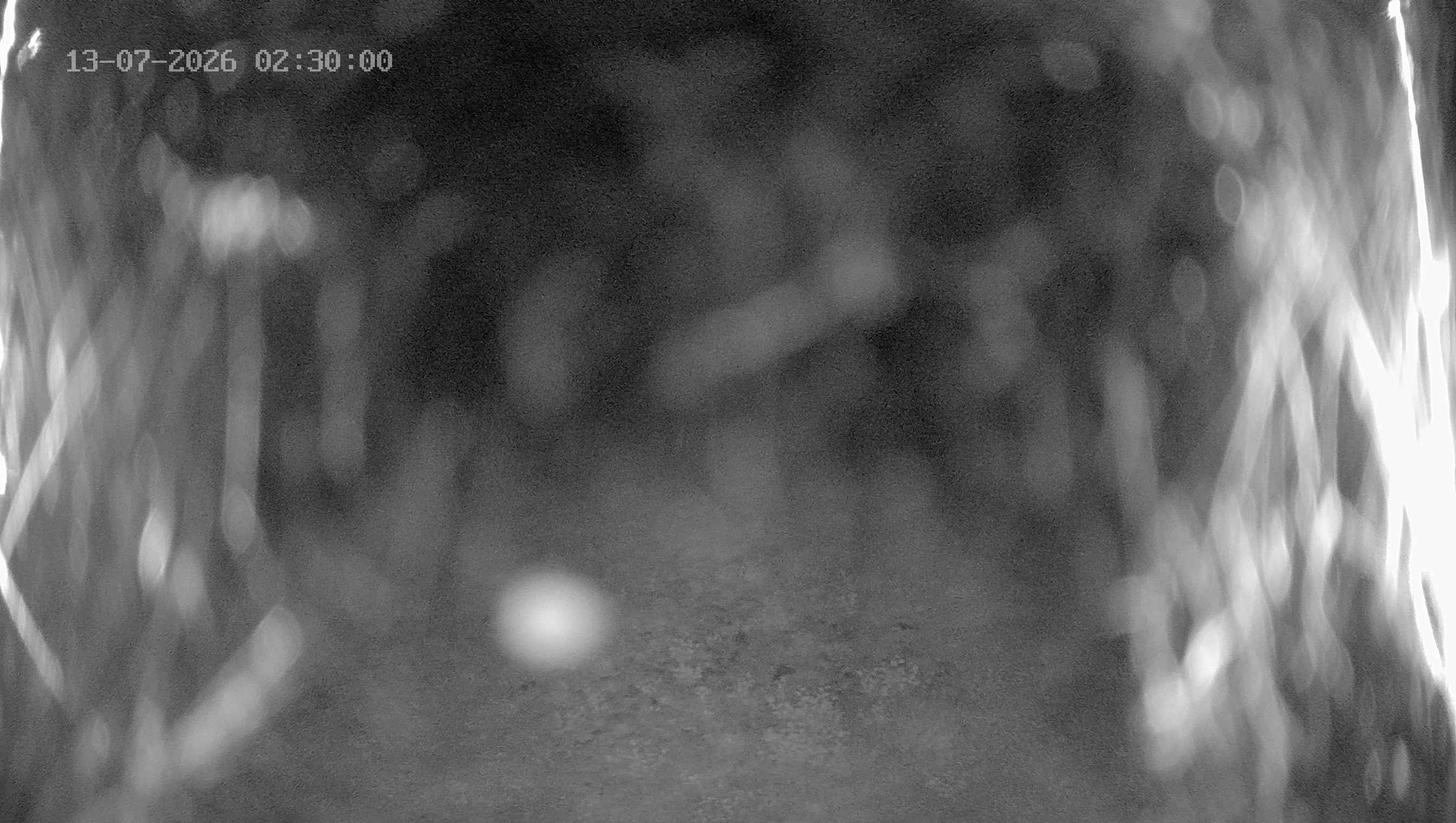 Archiv Foto Webcam Ladurns: Blick von der Bergstation Wastenegg