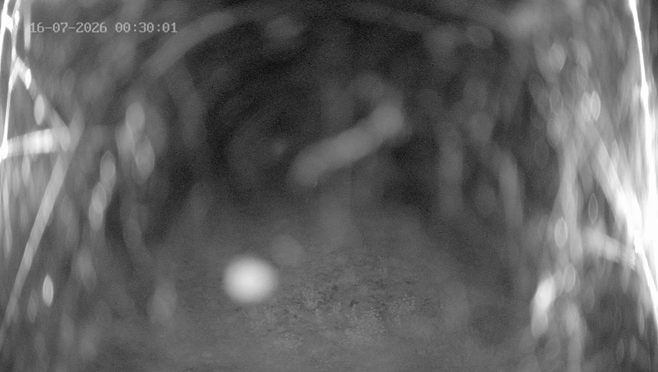 Archiv Foto Webcam Ladurns: Blick von der Bergstation Wastenegg