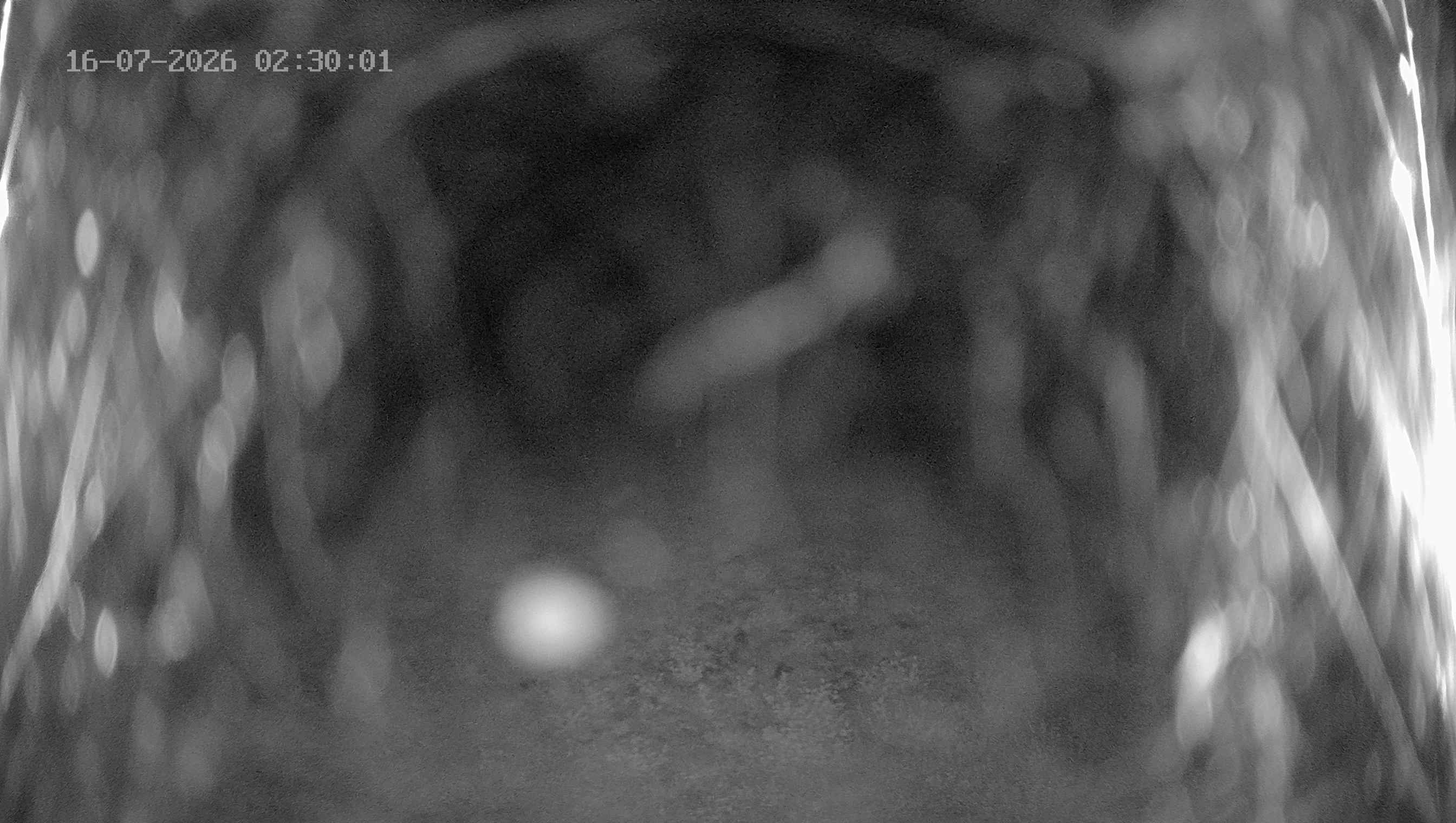 Archiv Foto Webcam Ladurns: Blick von der Bergstation Wastenegg