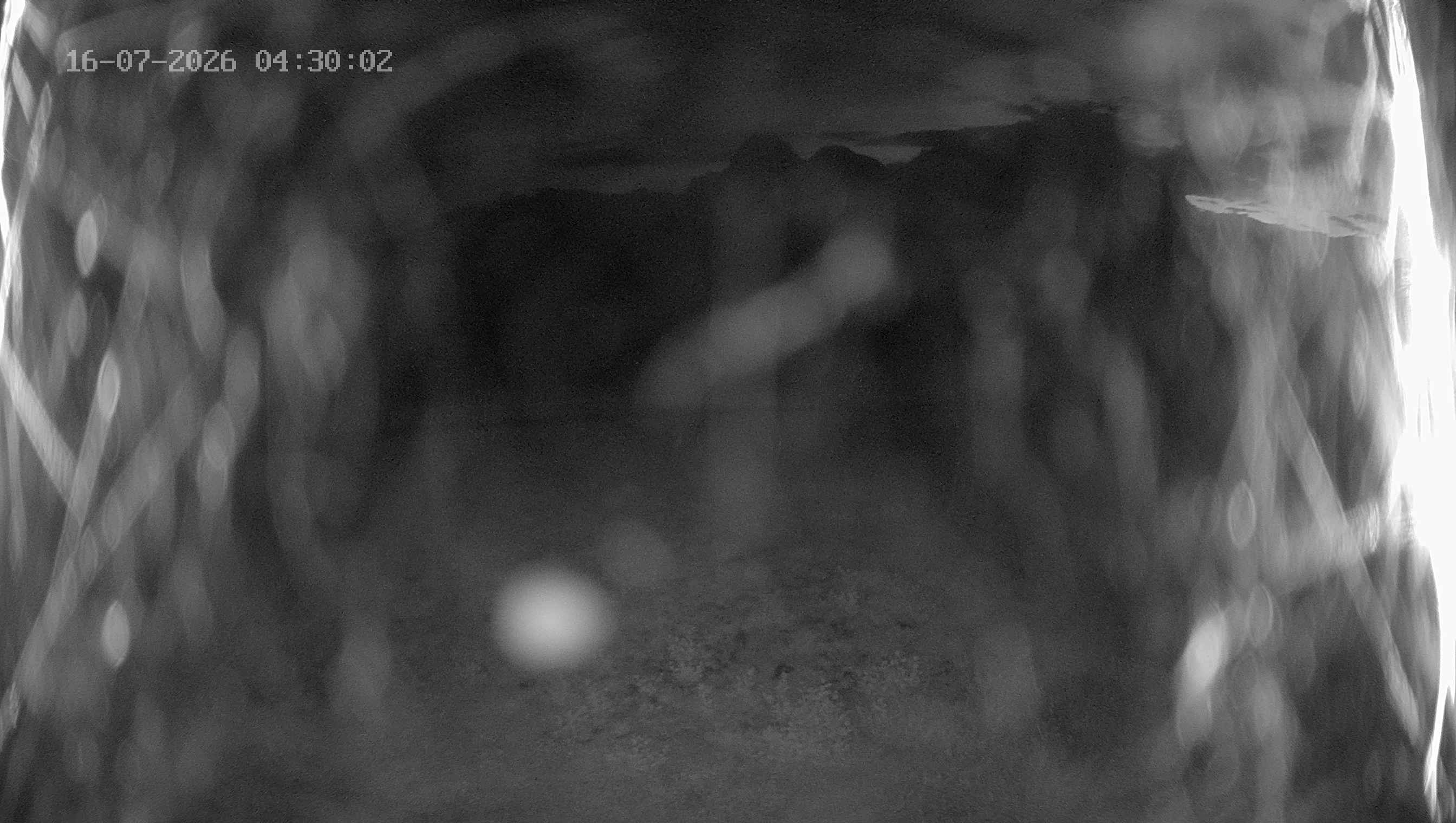 Archived image Webcam Ladurns - Wastenegg Top Station