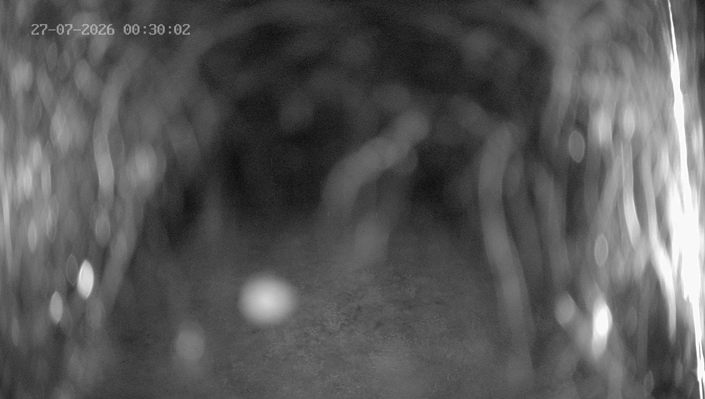 Archiv Foto Webcam Ladurns: Blick von der Bergstation Wastenegg