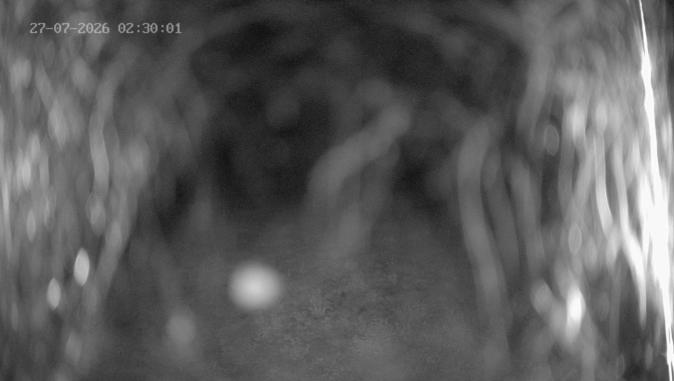 Archiv Foto Webcam Ladurns: Blick von der Bergstation Wastenegg