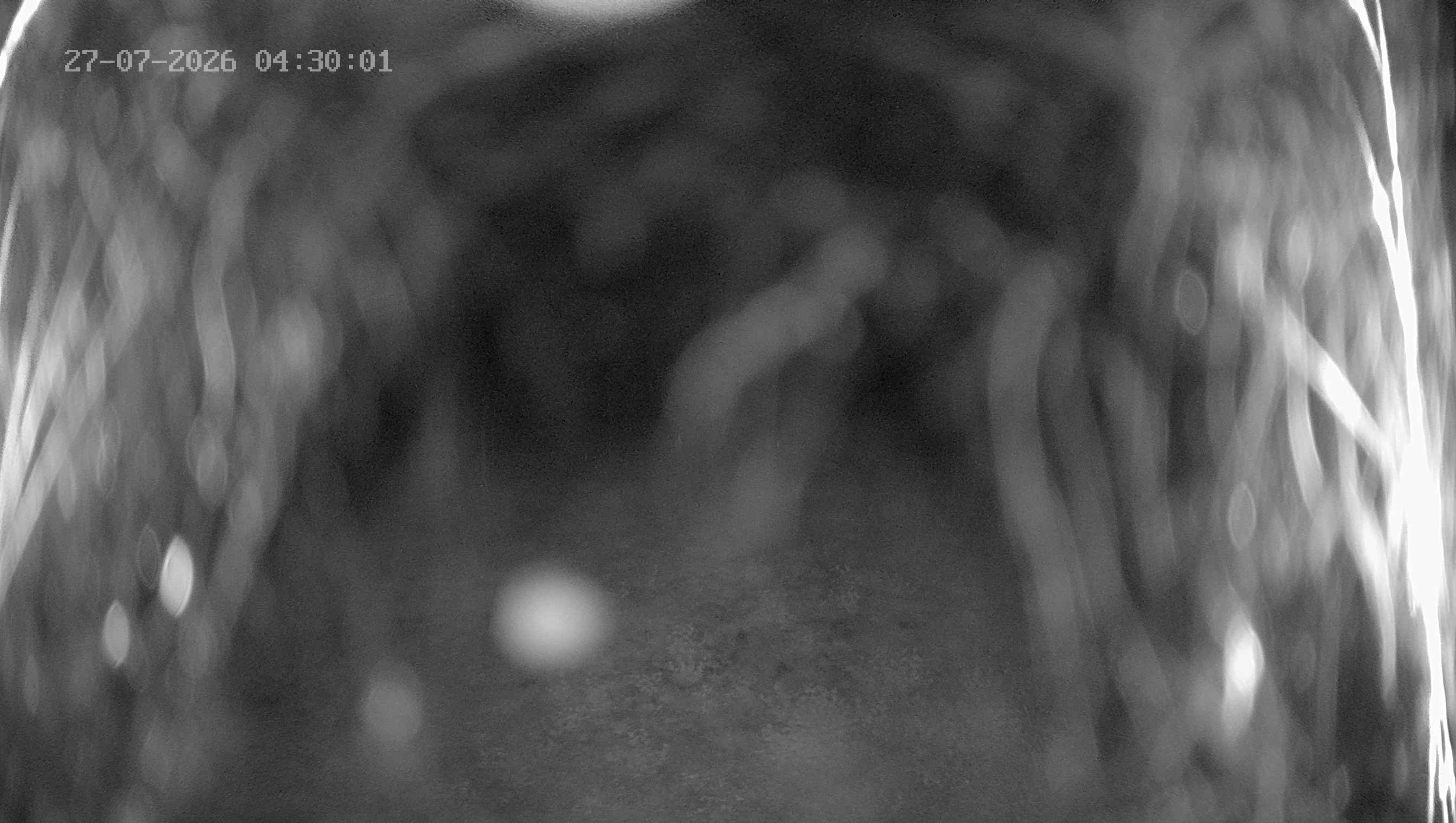 Archiv Foto Webcam Ladurns: Blick von der Bergstation Wastenegg