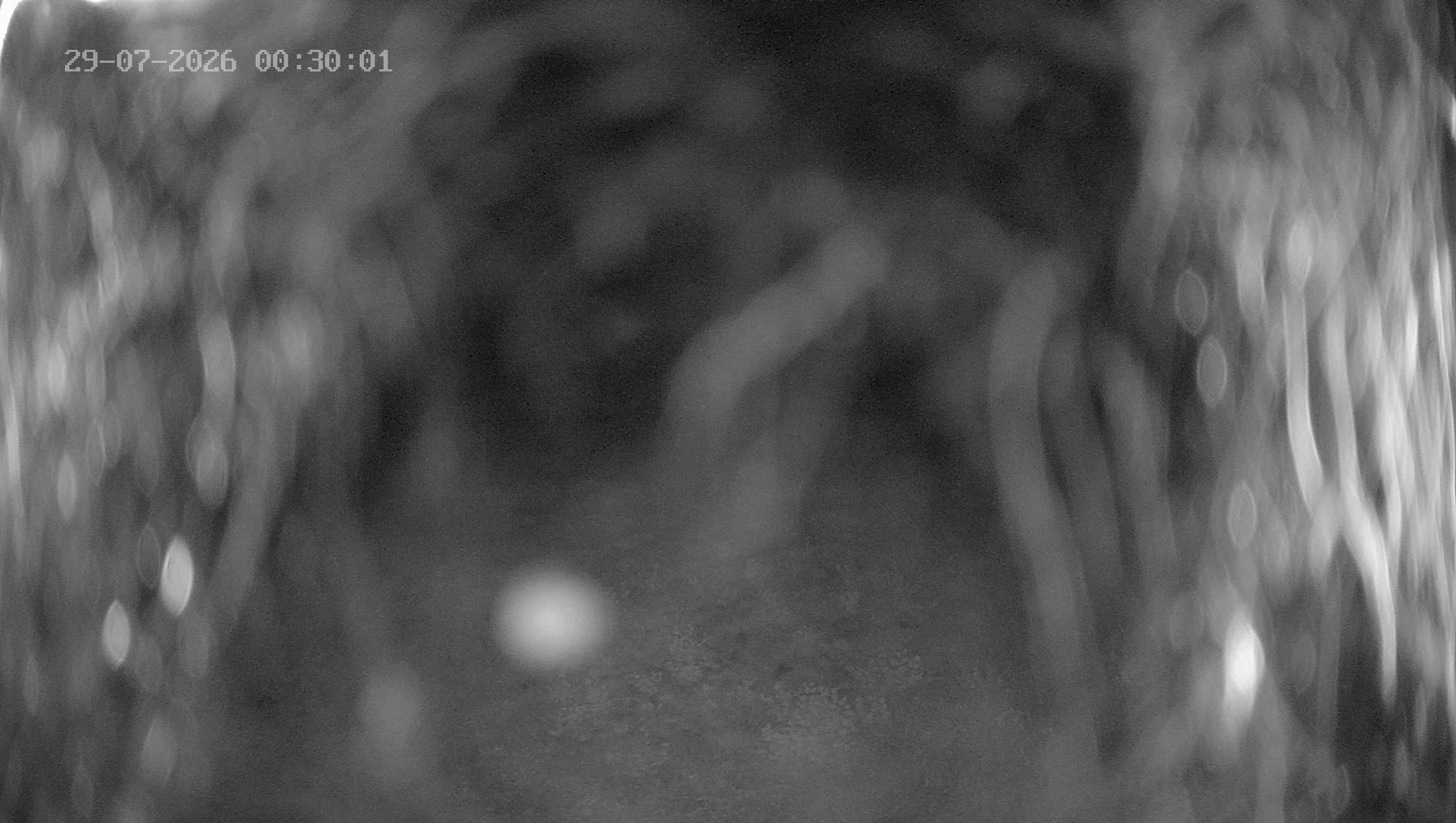 Archiv Foto Webcam Ladurns: Blick von der Bergstation Wastenegg