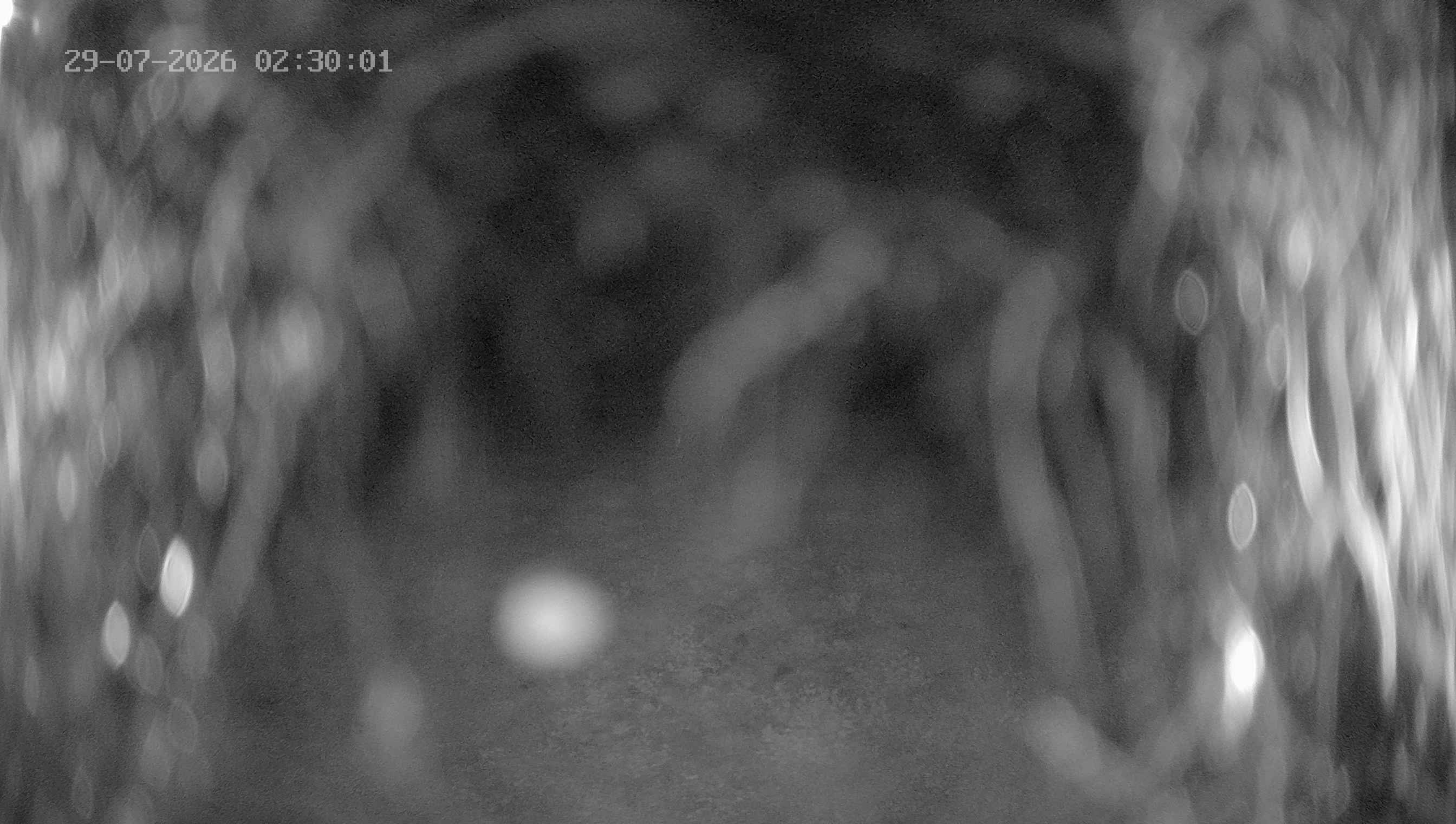 Archiv Foto Webcam Ladurns: Blick von der Bergstation Wastenegg