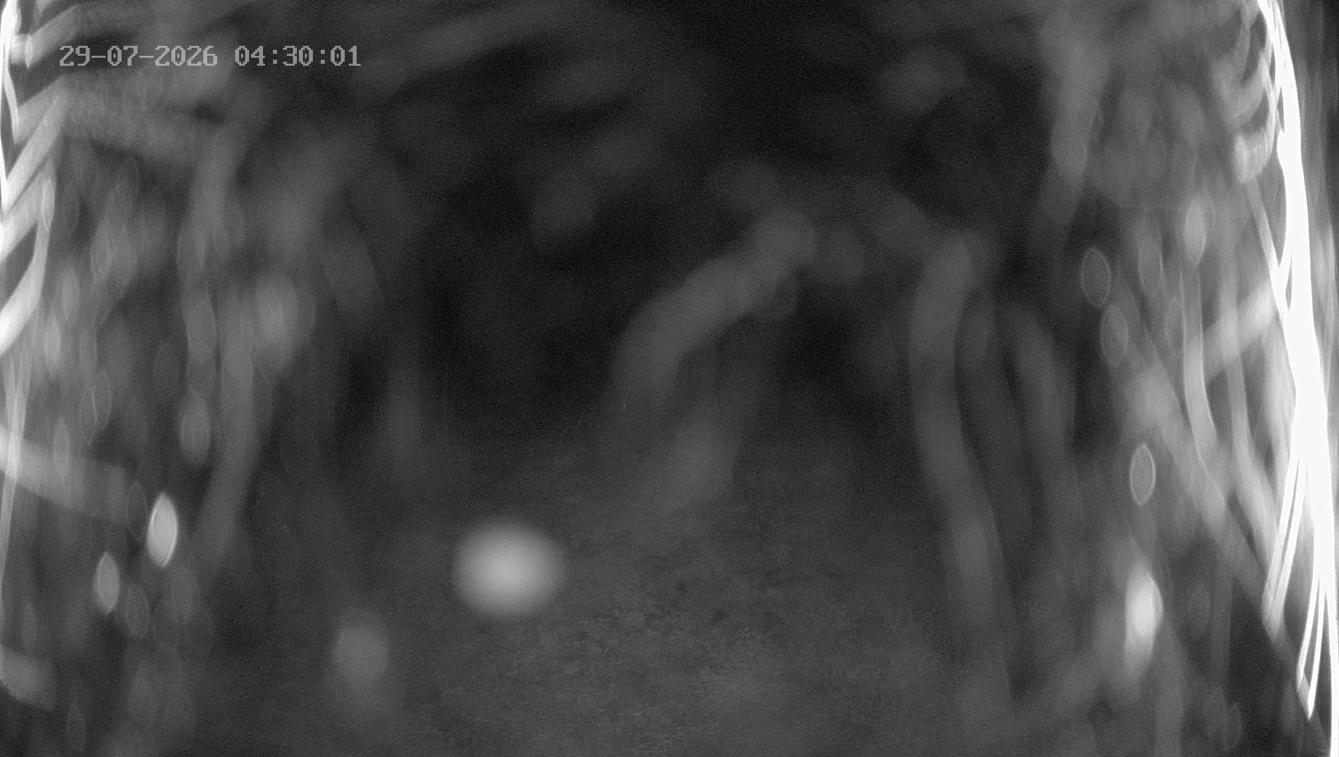 Archiv Foto Webcam Ladurns: Blick von der Bergstation Wastenegg