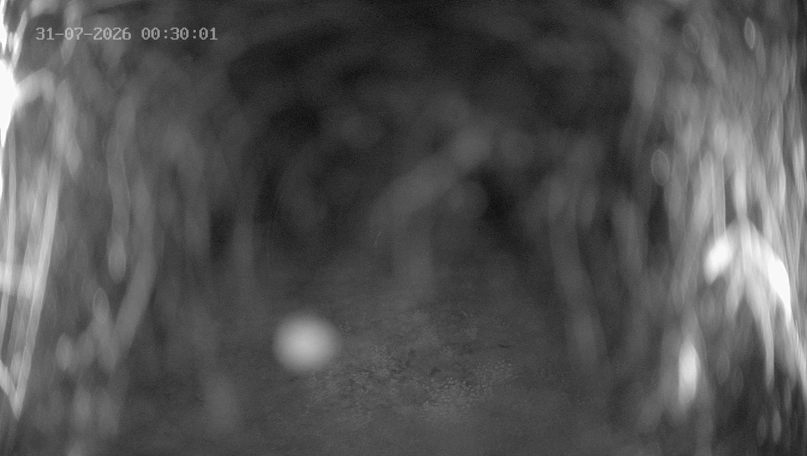 Archiv Foto Webcam Ladurns: Blick von der Bergstation Wastenegg