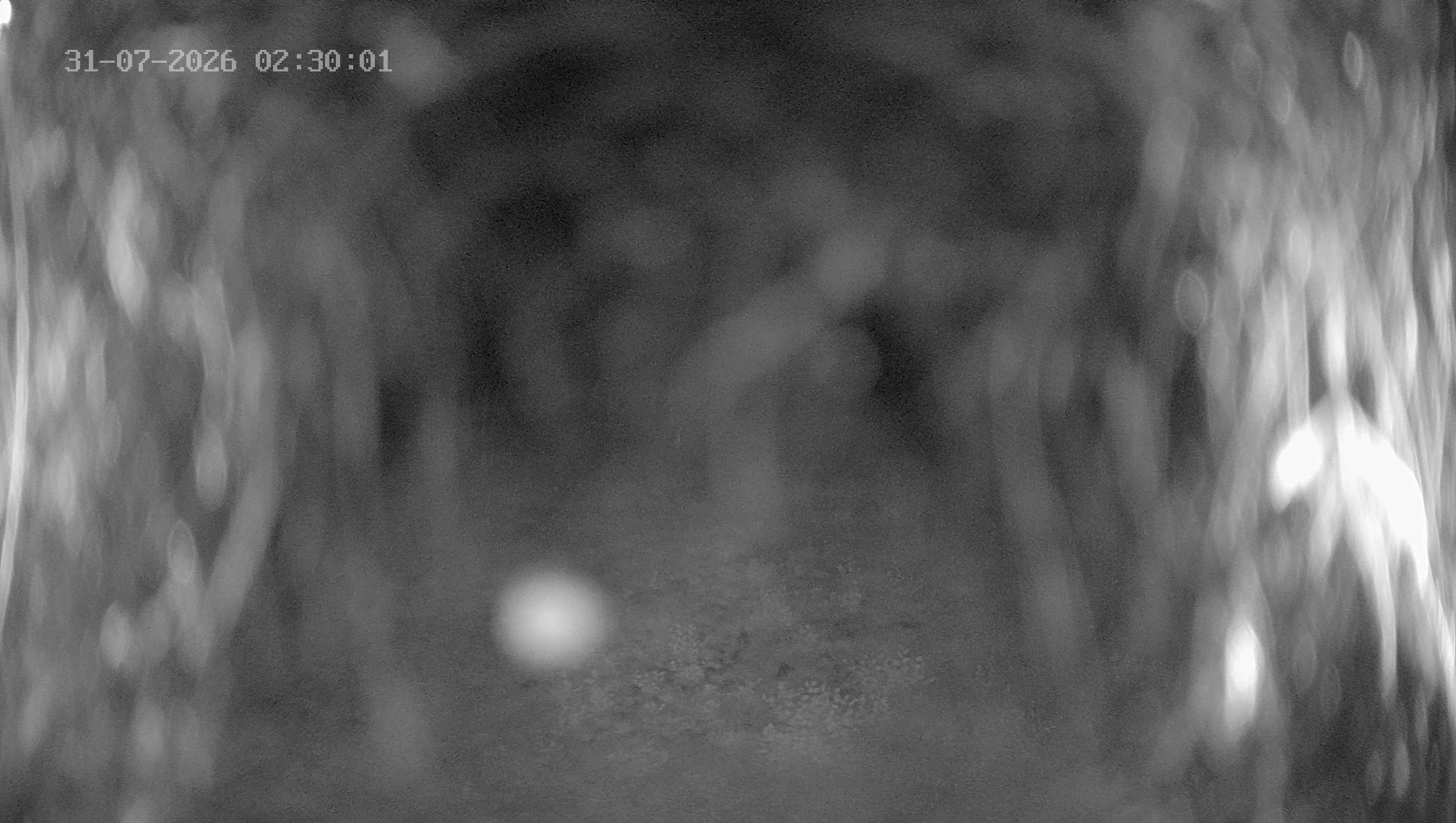 Archiv Foto Webcam Ladurns: Blick von der Bergstation Wastenegg