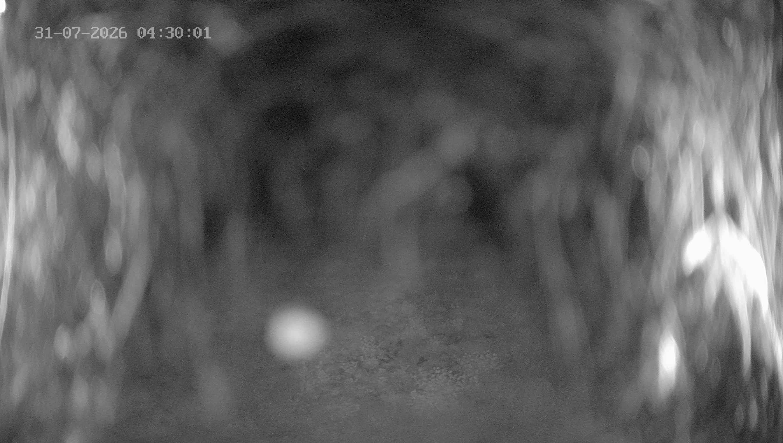 Archiv Foto Webcam Ladurns: Blick von der Bergstation Wastenegg