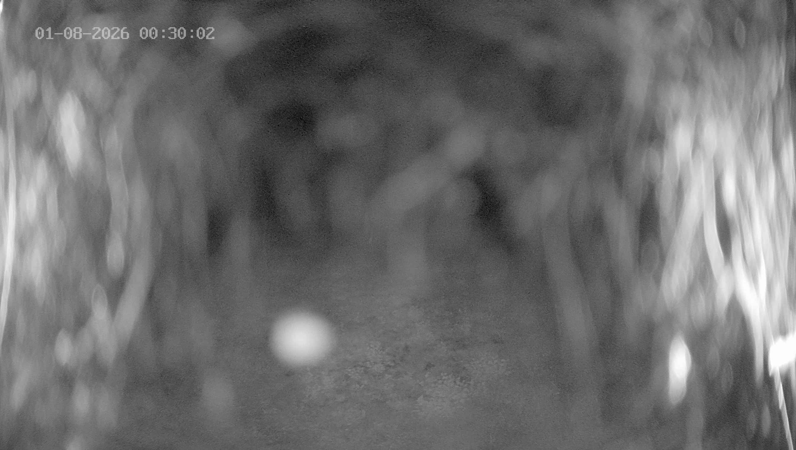 Archiv Foto Webcam Ladurns: Blick von der Bergstation Wastenegg