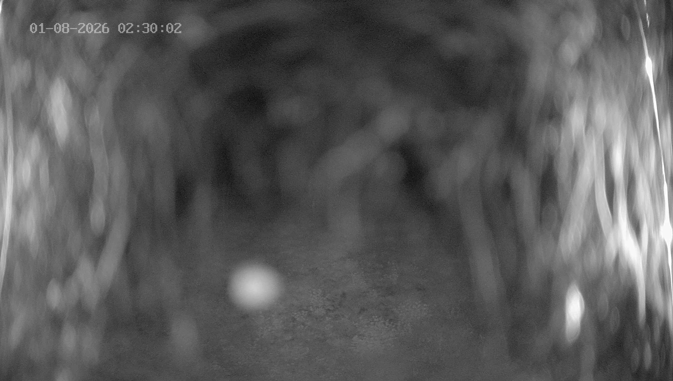 Archiv Foto Webcam Ladurns: Blick von der Bergstation Wastenegg
