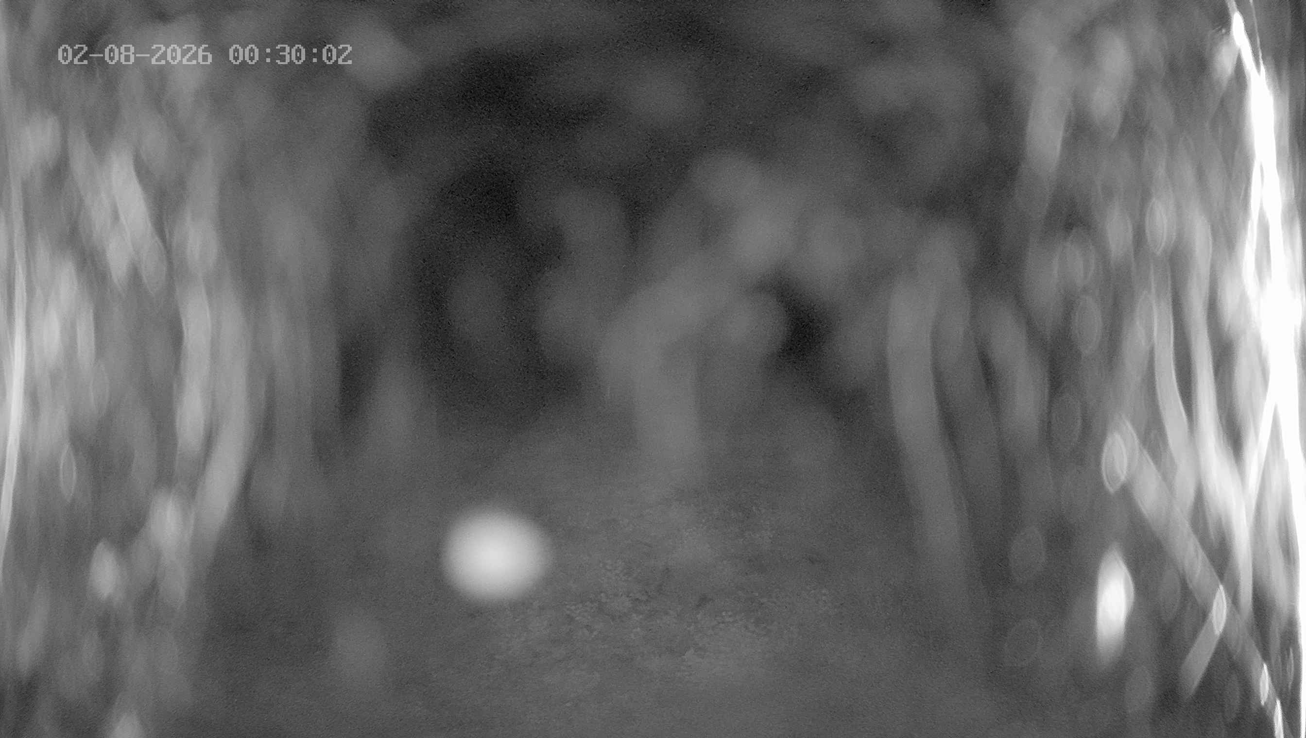 Archiv Foto Webcam Ladurns: Blick von der Bergstation Wastenegg