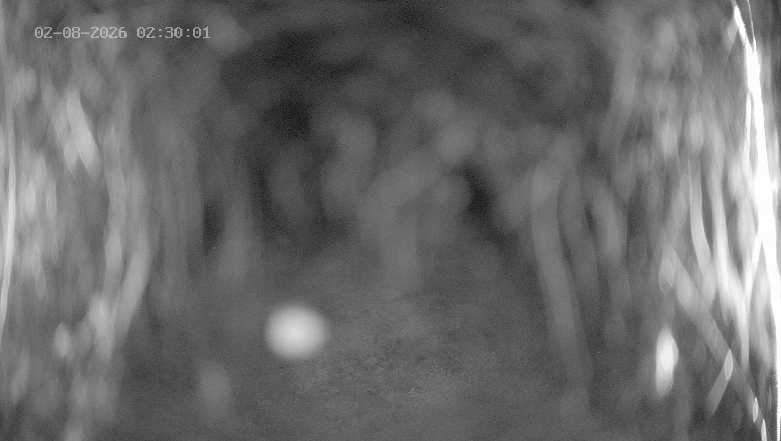 Archiv Foto Webcam Ladurns: Blick von der Bergstation Wastenegg
