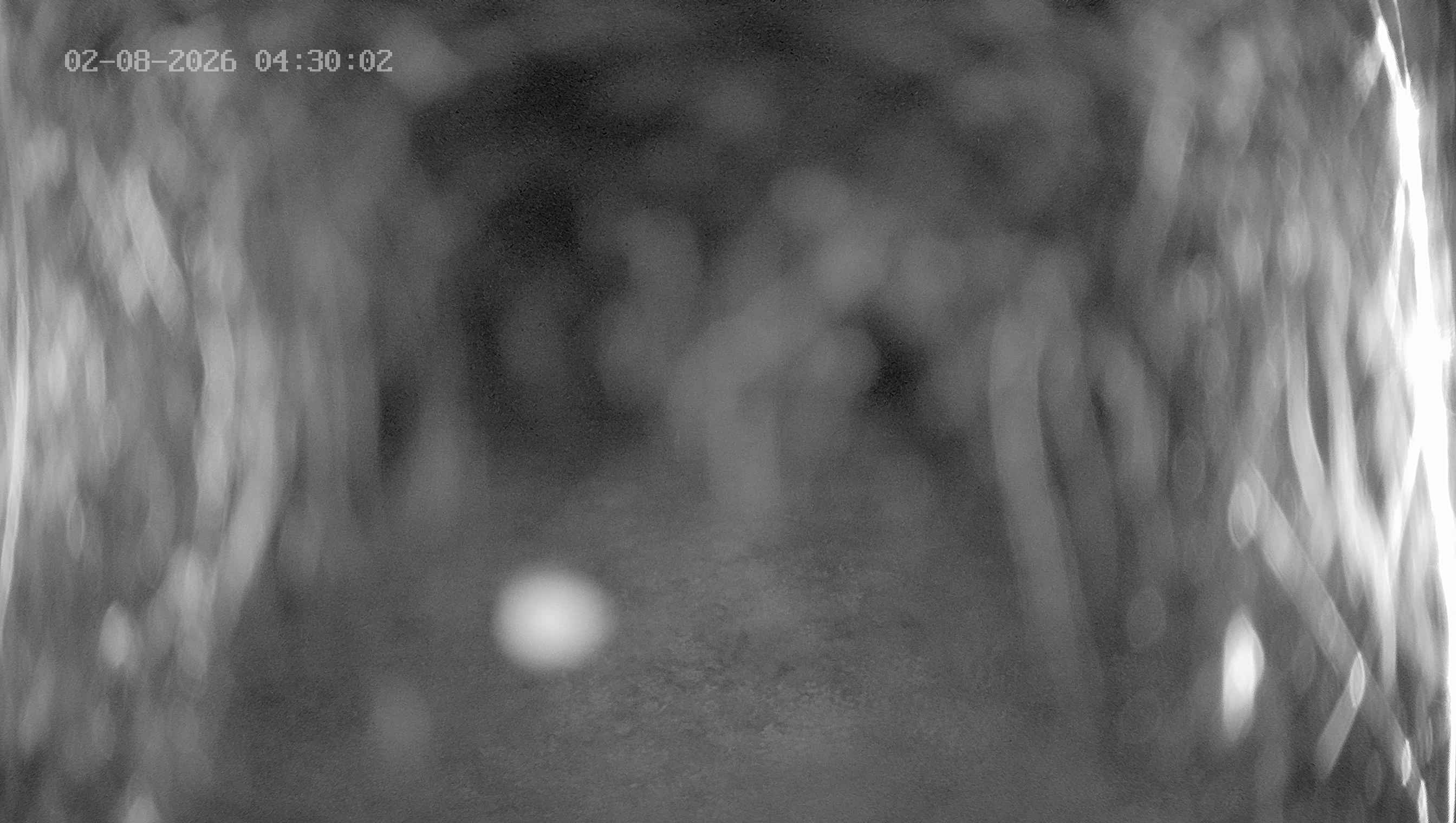 Archived image Webcam Ladurns - Wastenegg Top Station