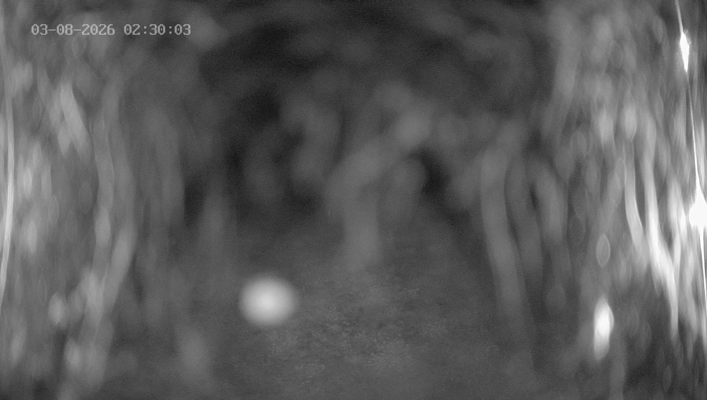 Archiv Foto Webcam Ladurns: Blick von der Bergstation Wastenegg