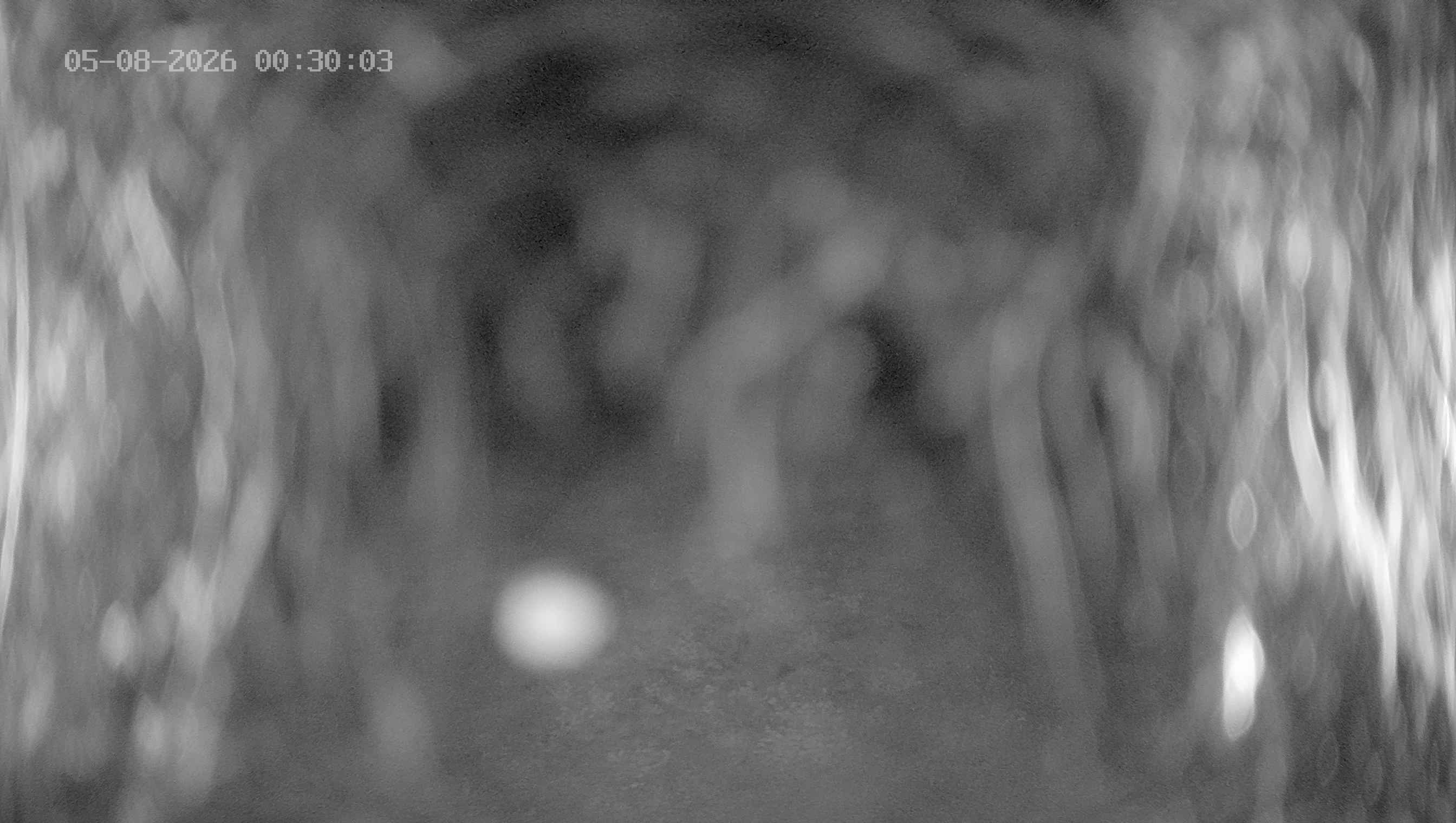 Archiv Foto Webcam Ladurns: Blick von der Bergstation Wastenegg