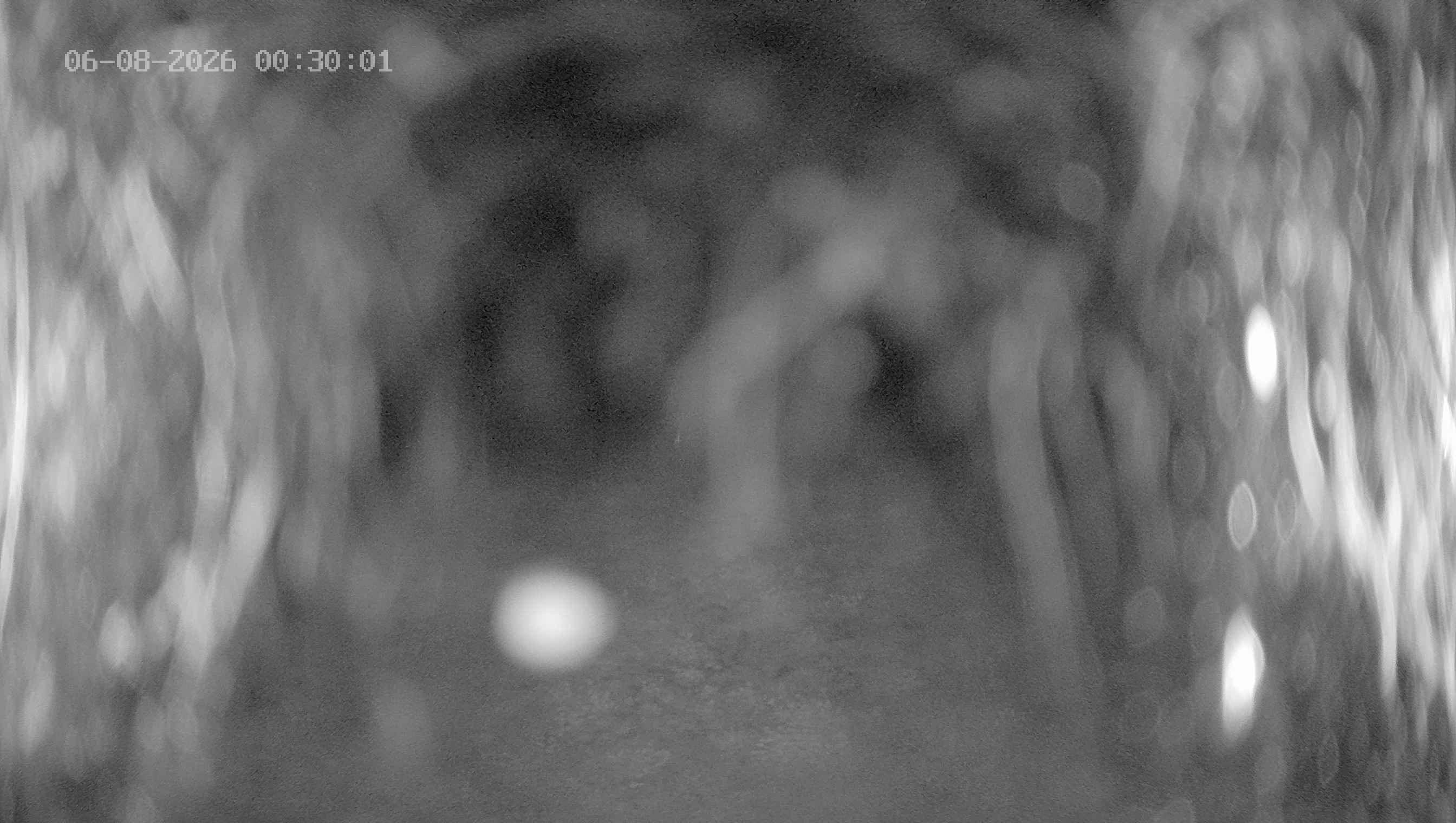 Archiv Foto Webcam Ladurns: Blick von der Bergstation Wastenegg