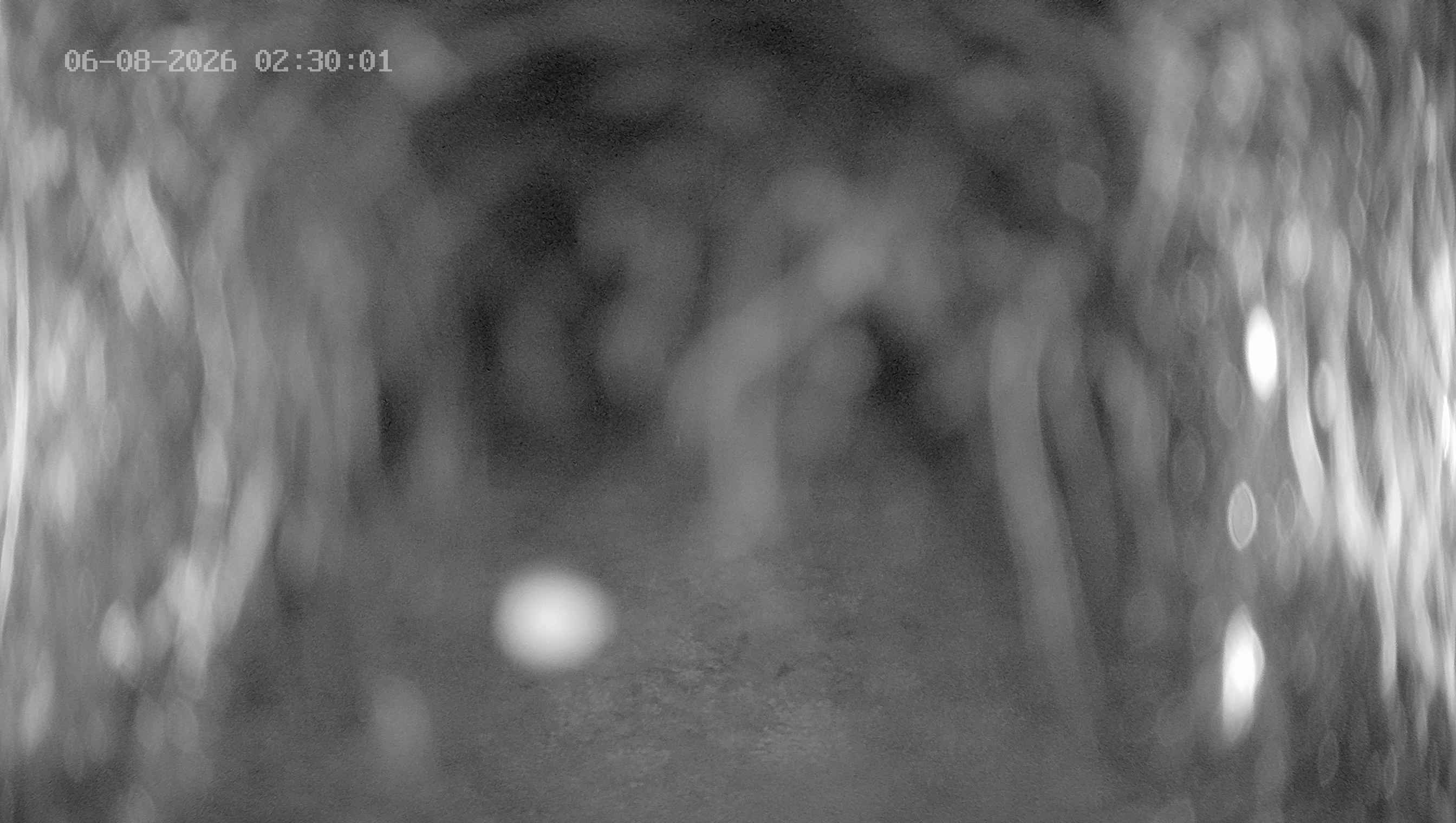 Archiv Foto Webcam Ladurns: Blick von der Bergstation Wastenegg