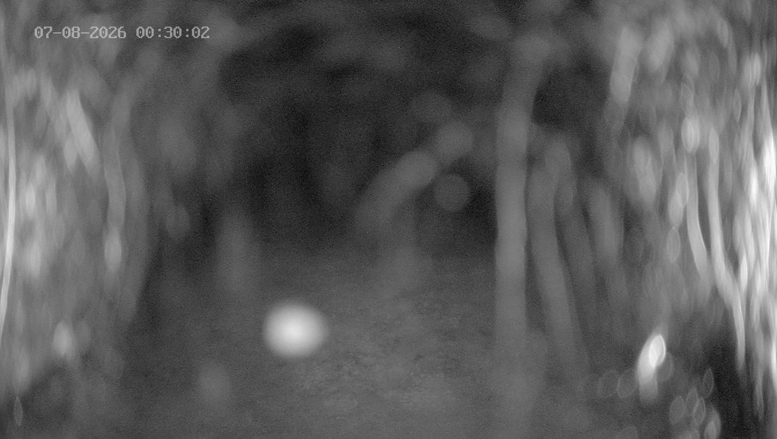 Archived image Webcam Ladurns - Wastenegg Top Station