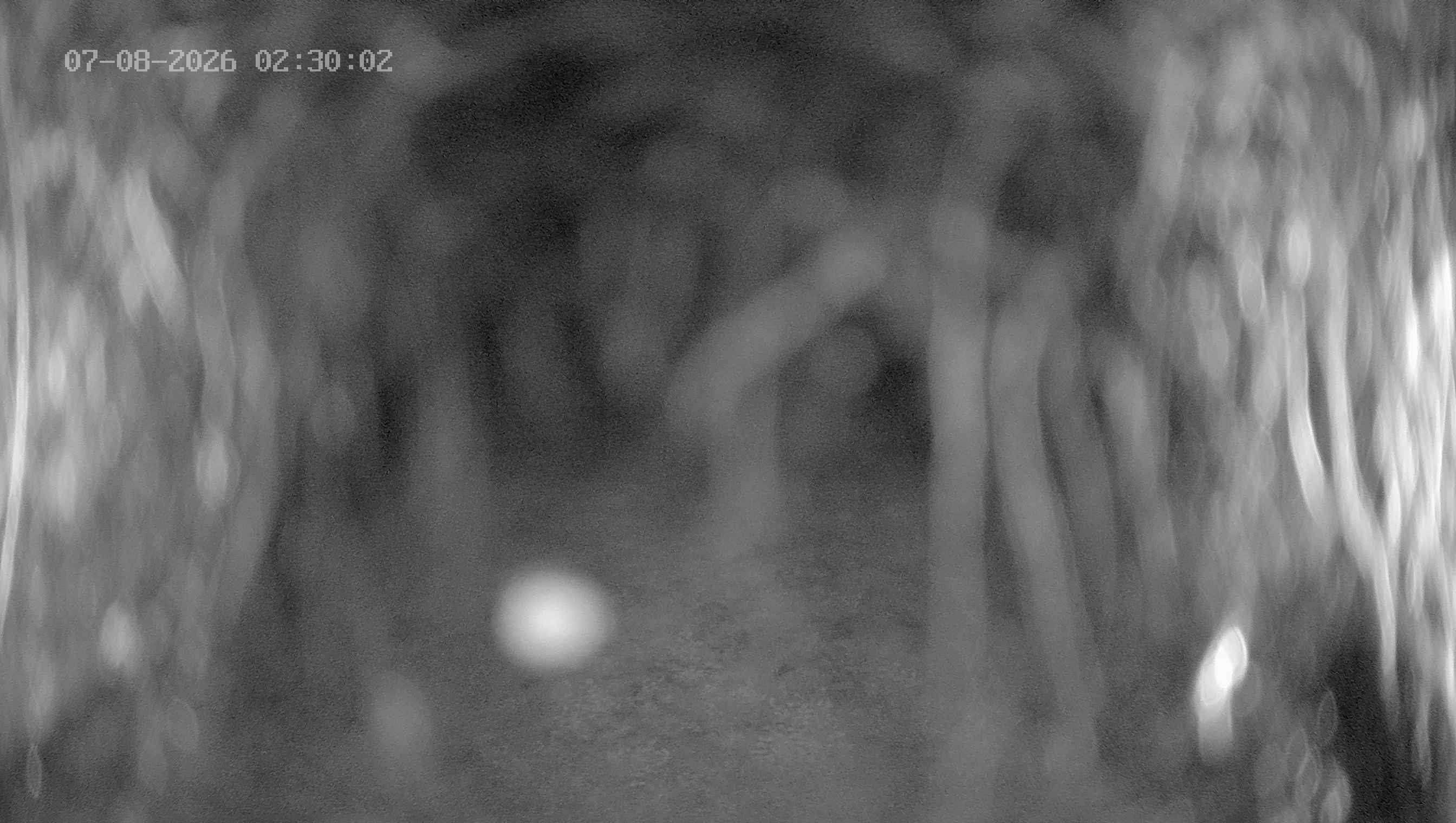 Archived image Webcam Ladurns - Wastenegg Top Station