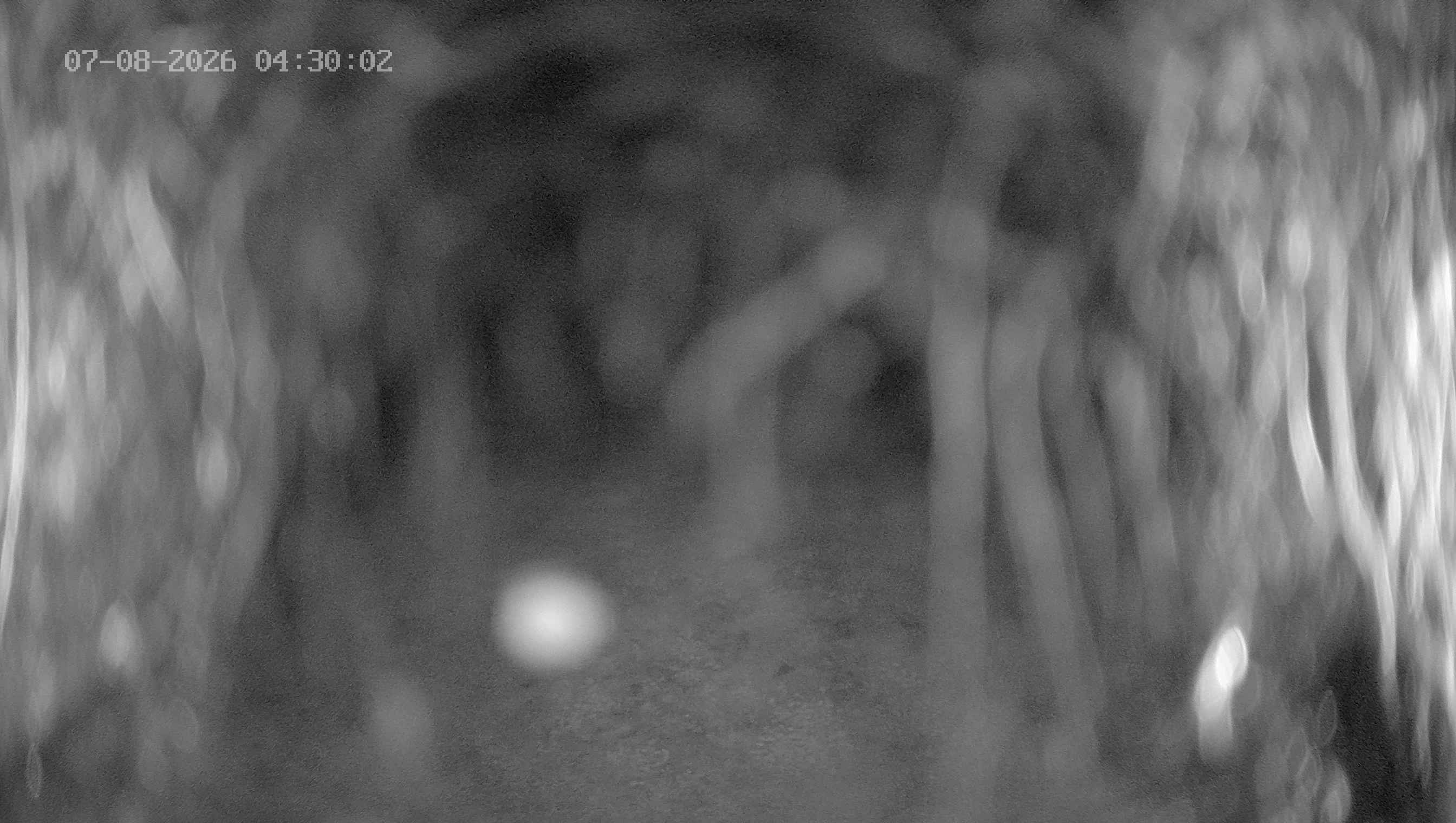 Archived image Webcam Ladurns - Wastenegg Top Station