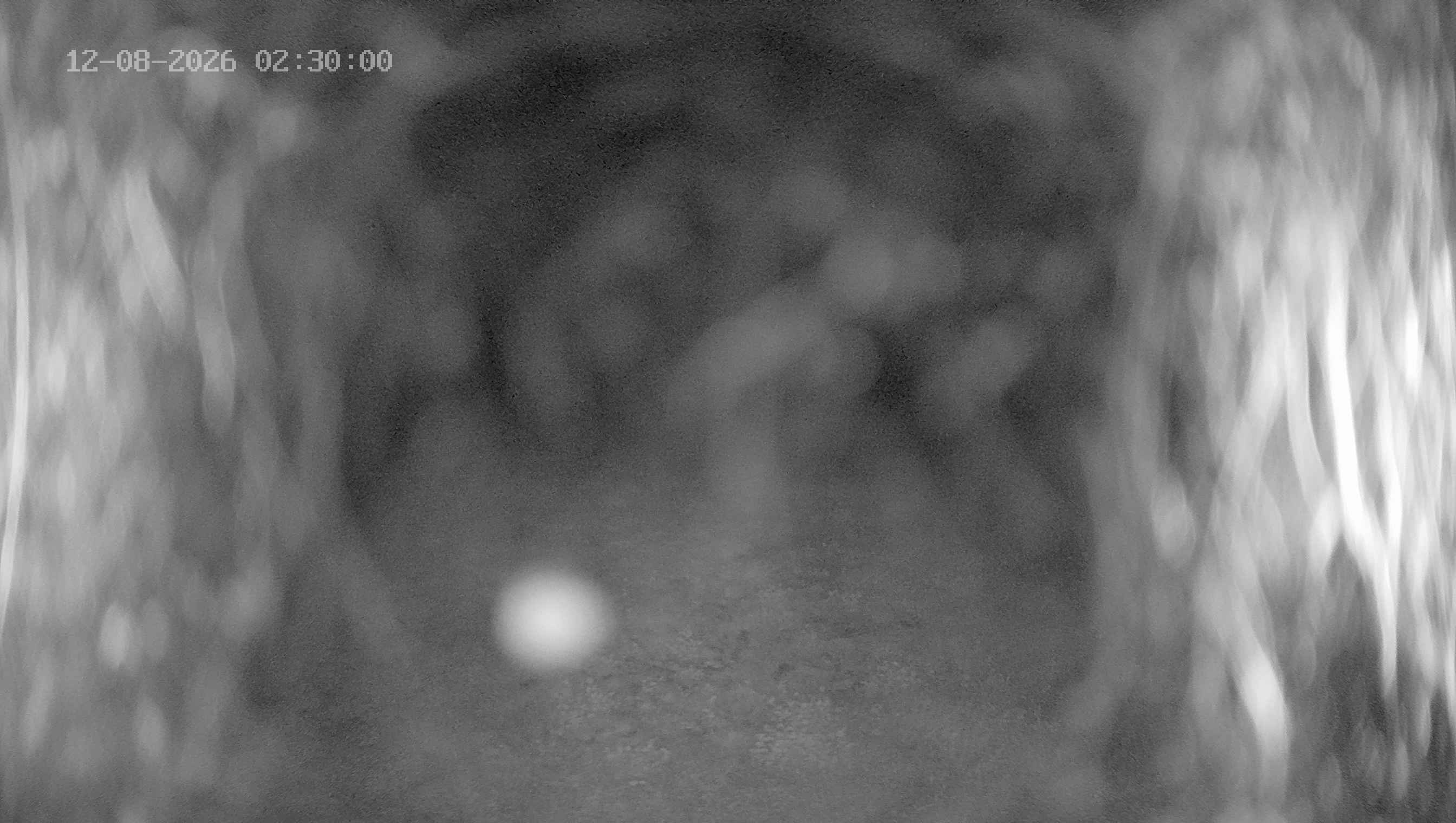 Archived image Webcam Ladurns - Wastenegg Top Station