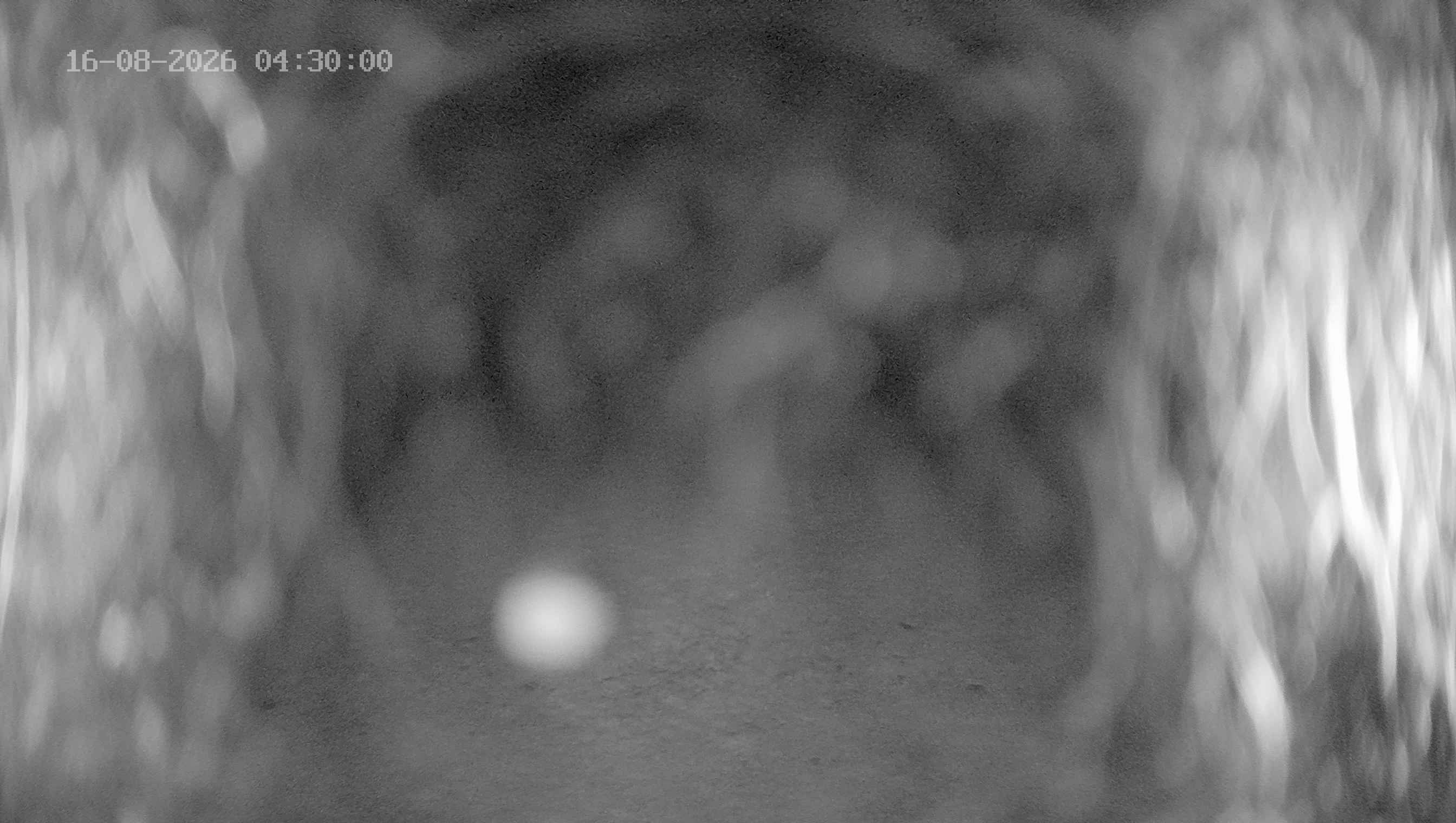 Archiv Foto Webcam Ladurns: Blick von der Bergstation Wastenegg