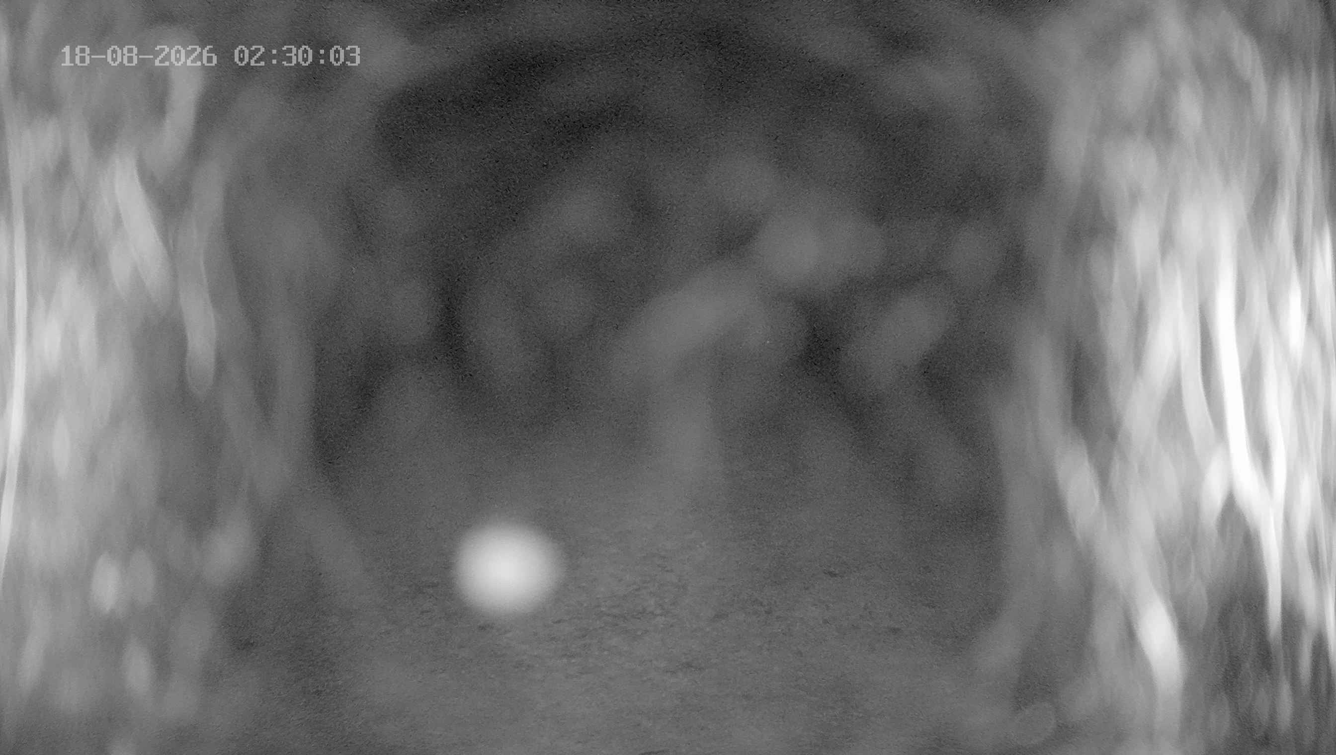 Archiv Foto Webcam Ladurns: Blick von der Bergstation Wastenegg