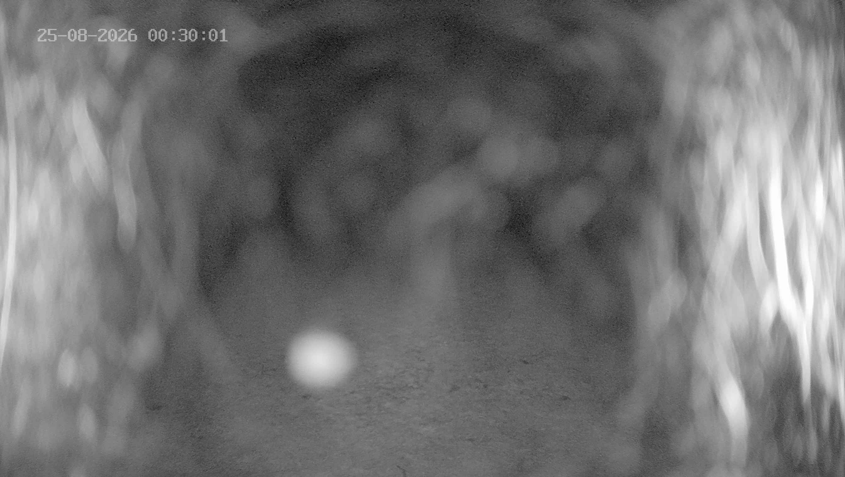 Archived image Webcam Ladurns - Wastenegg Top Station