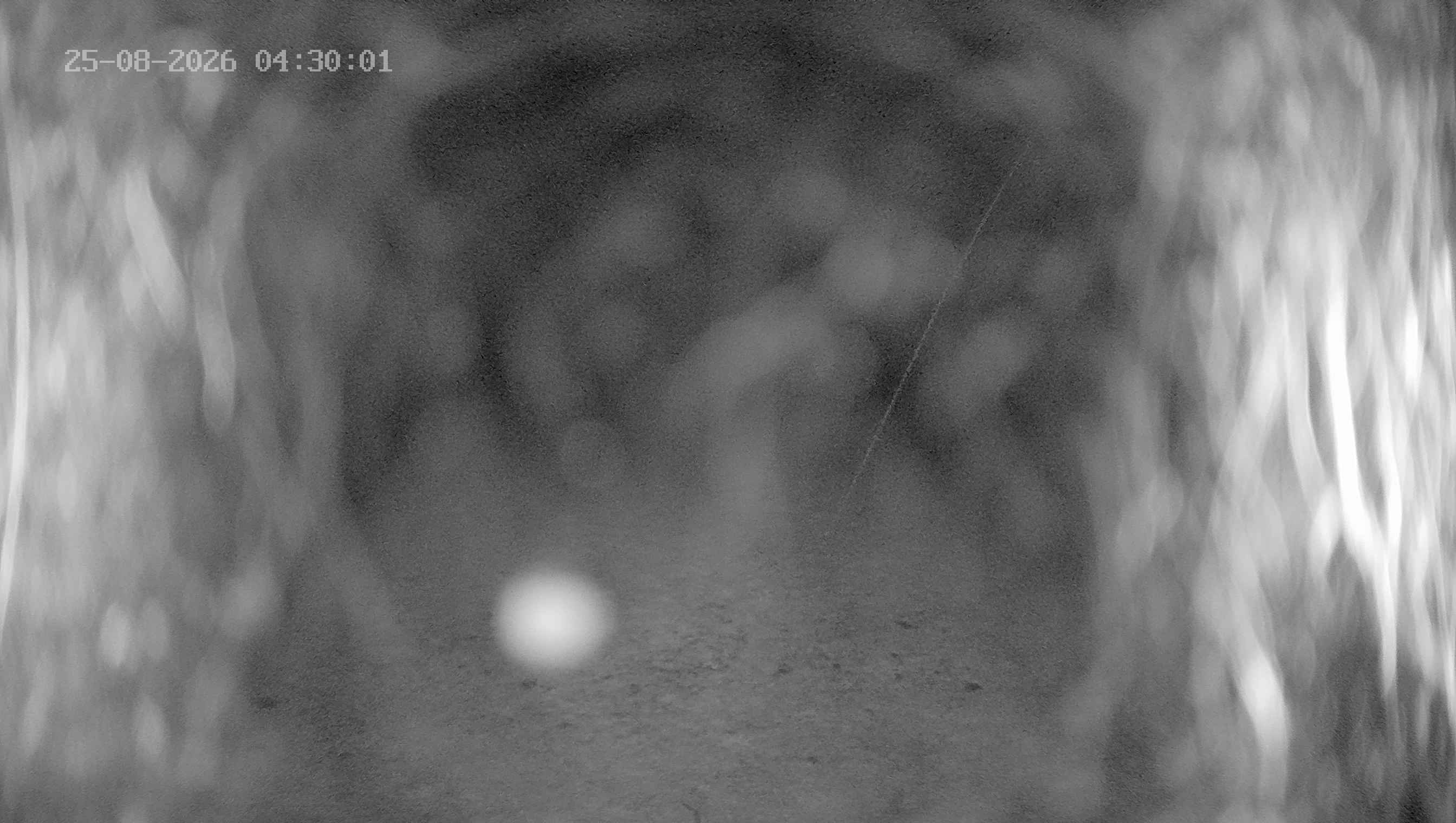 Archived image Webcam Ladurns - Wastenegg Top Station