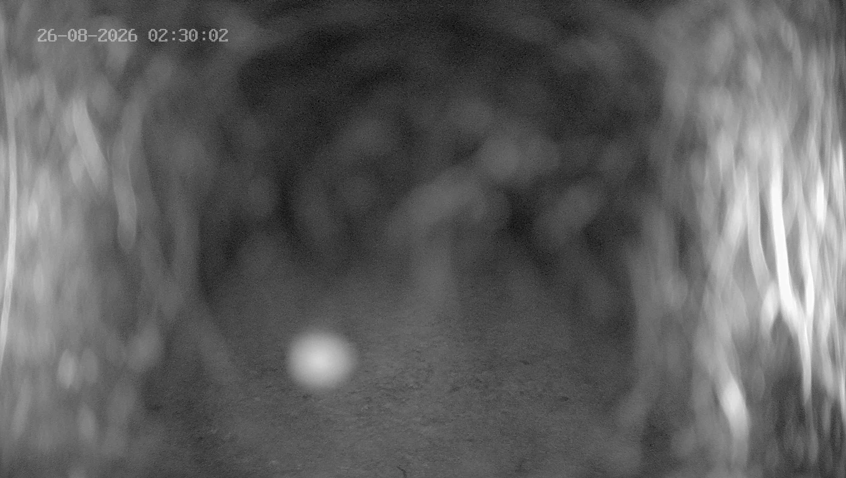 Archiv Foto Webcam Ladurns: Blick von der Bergstation Wastenegg