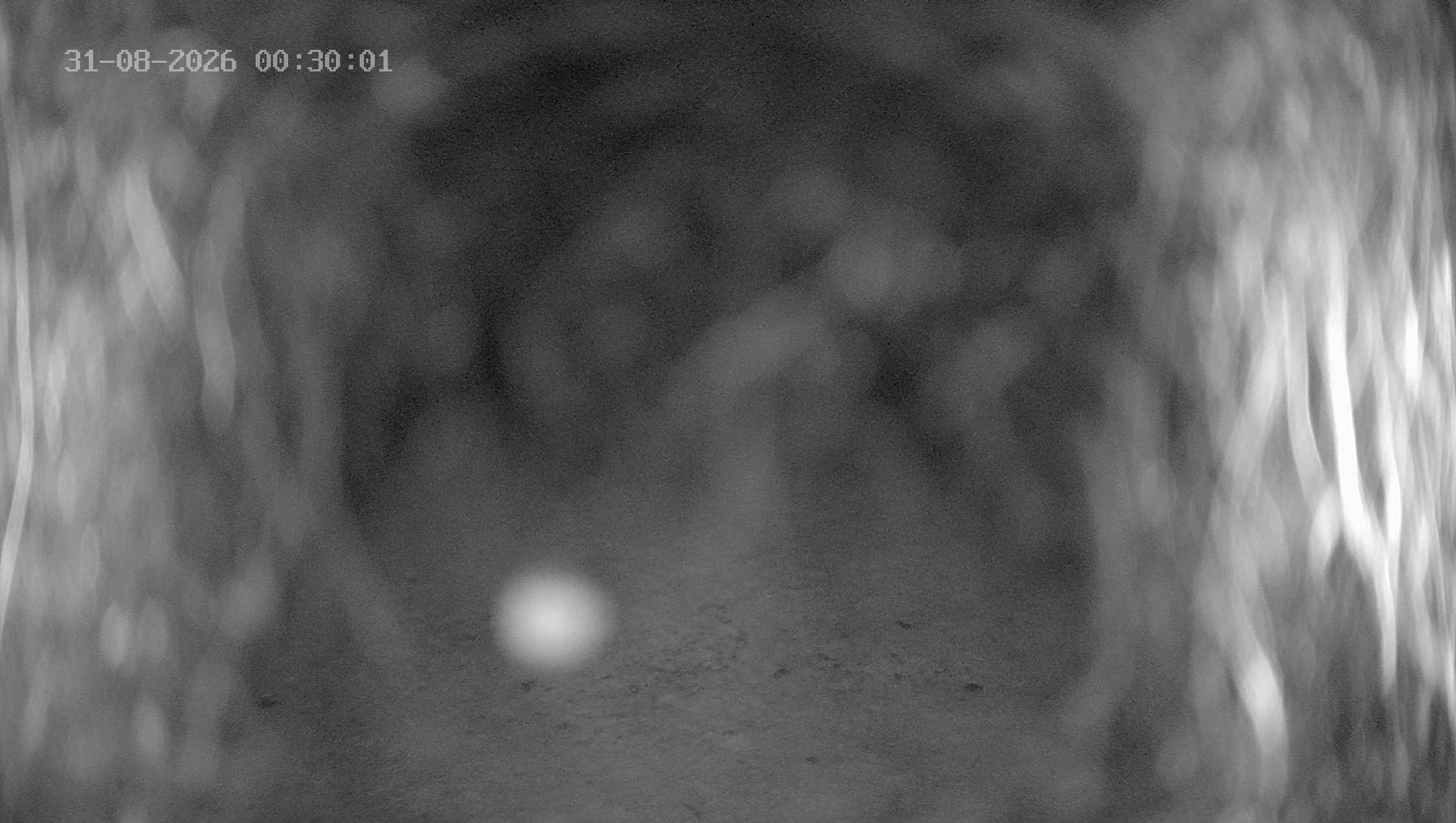 Archiv Foto Webcam Ladurns: Blick von der Bergstation Wastenegg
