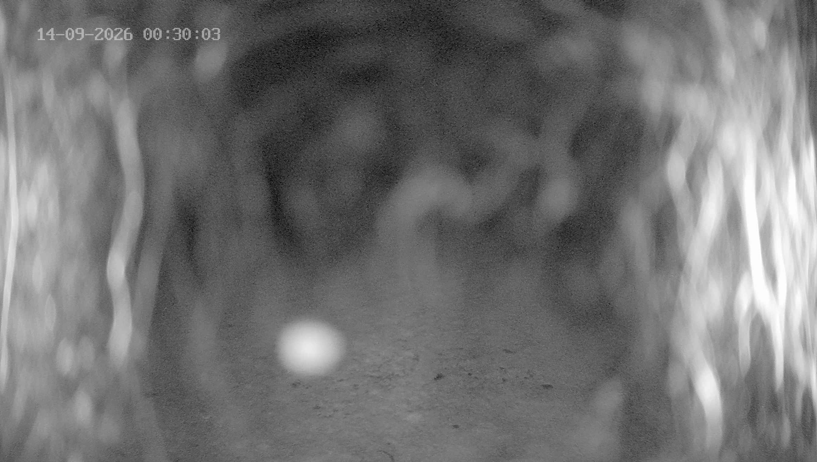 Archiv Foto Webcam Ladurns: Blick von der Bergstation Wastenegg