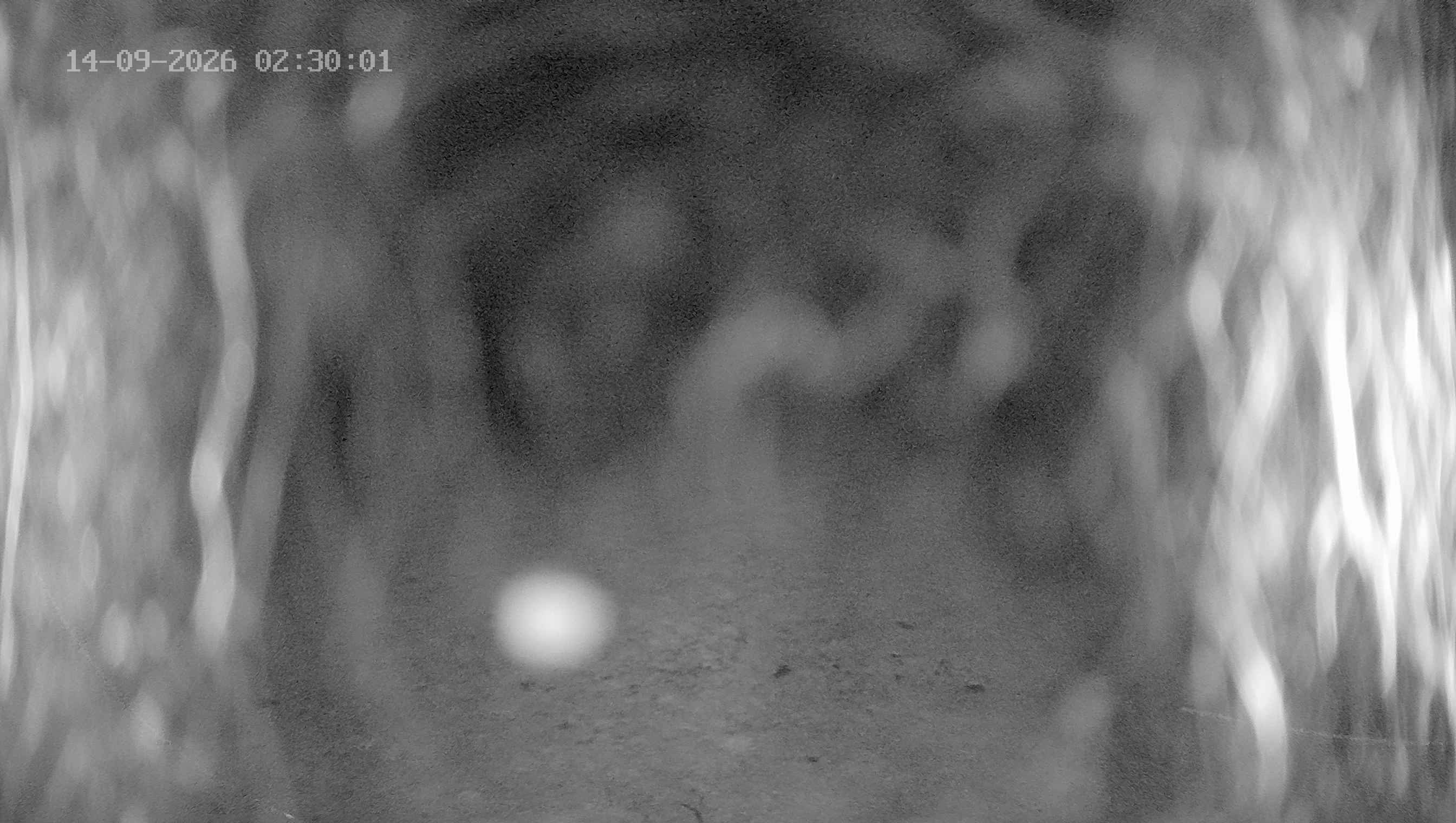 Archiv Foto Webcam Ladurns: Blick von der Bergstation Wastenegg