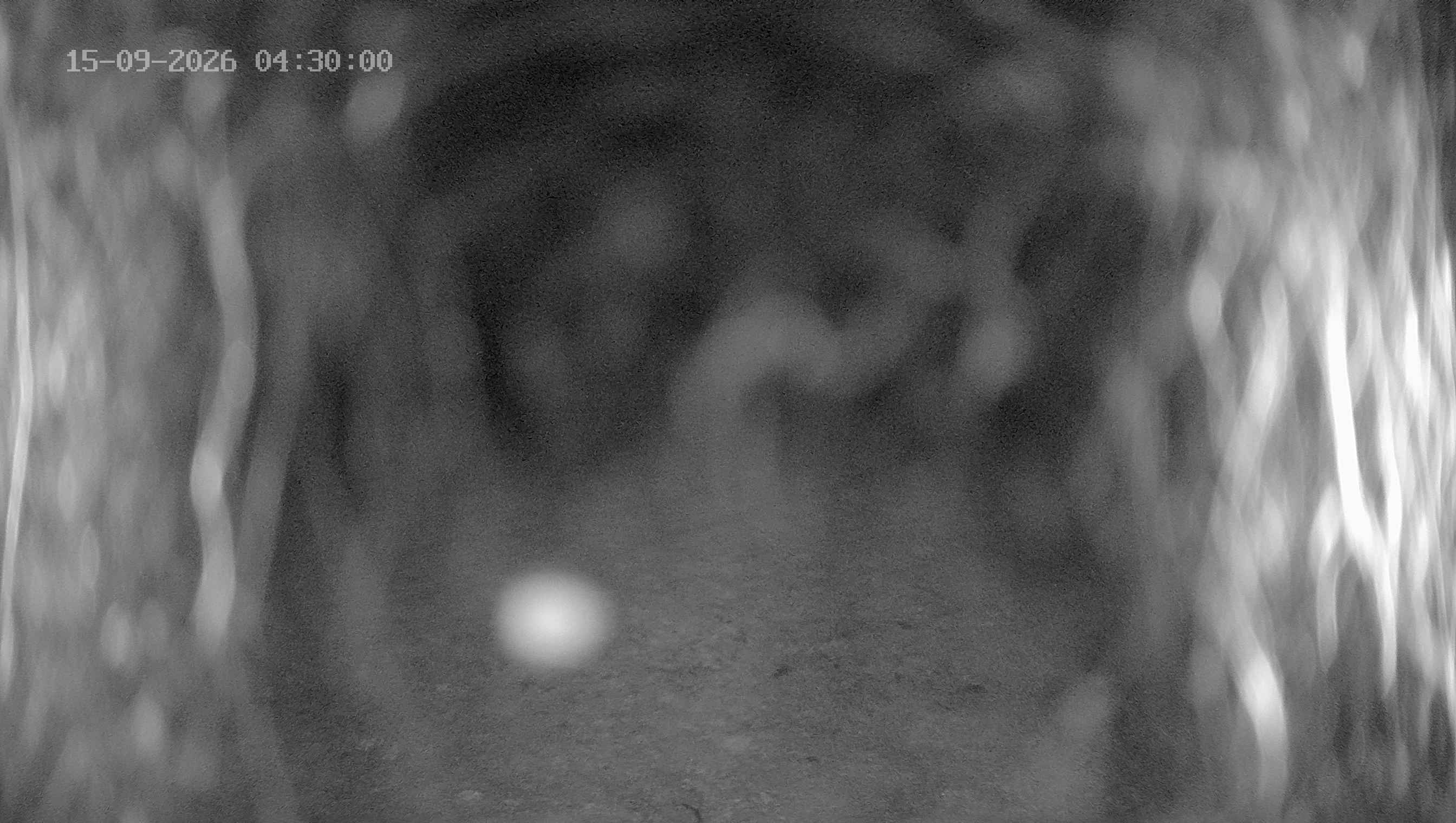 Archiv Foto Webcam Ladurns: Blick von der Bergstation Wastenegg
