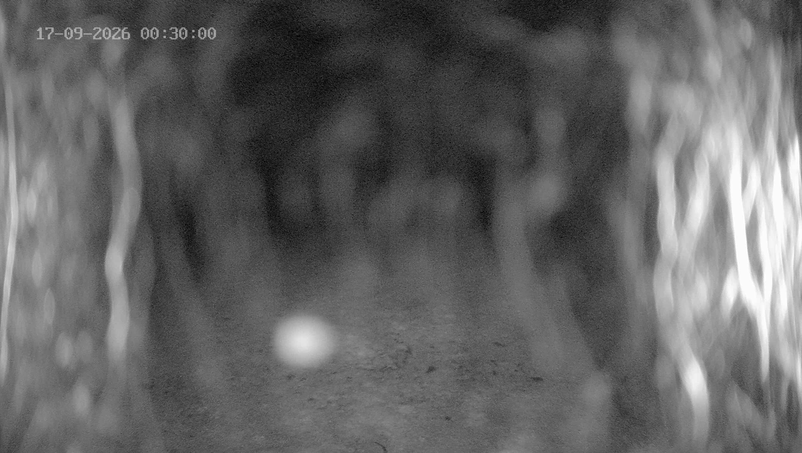 Archived image Webcam Ladurns - Wastenegg Top Station